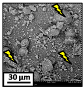 Catalysts 08 00291 i016