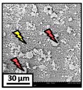 Catalysts 08 00291 i018