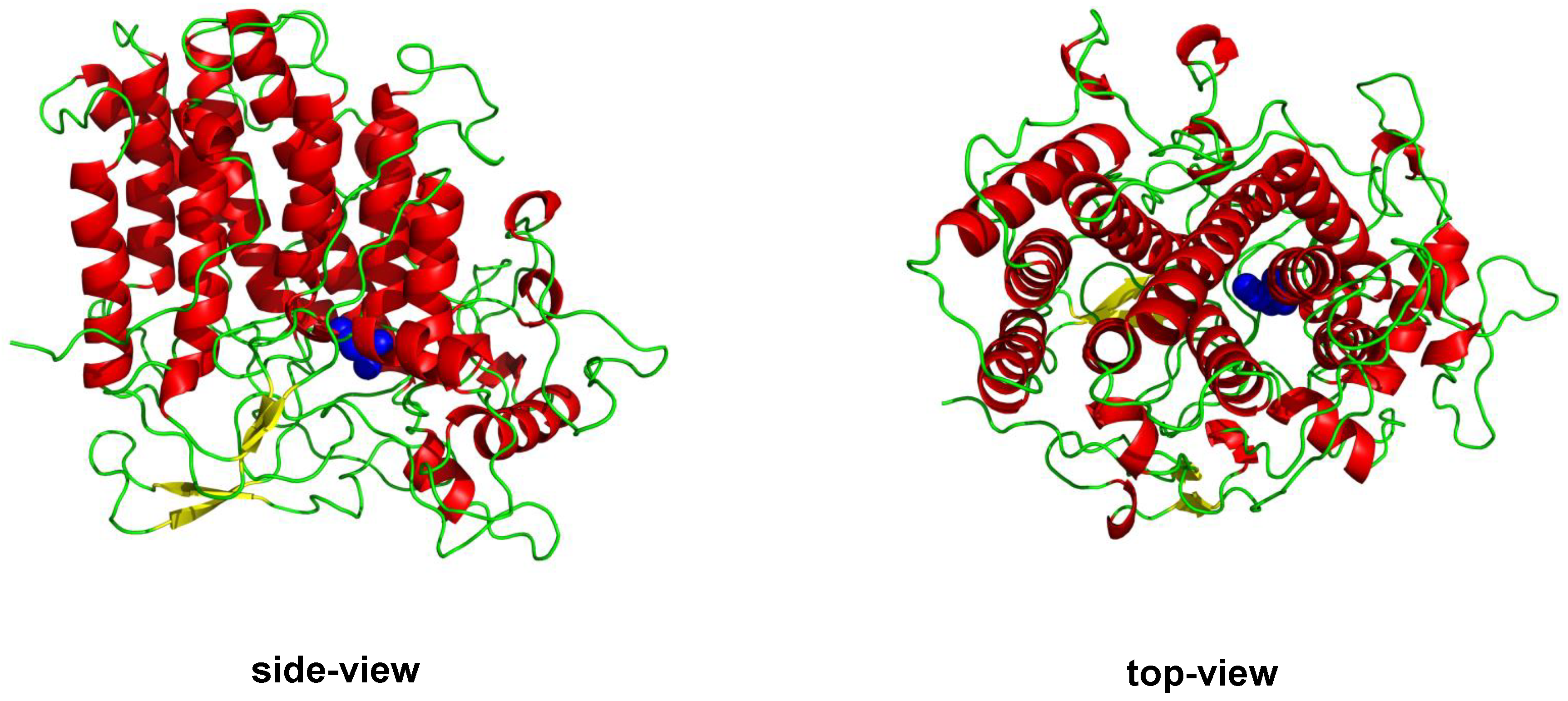 Catalysts 08 00314 g005