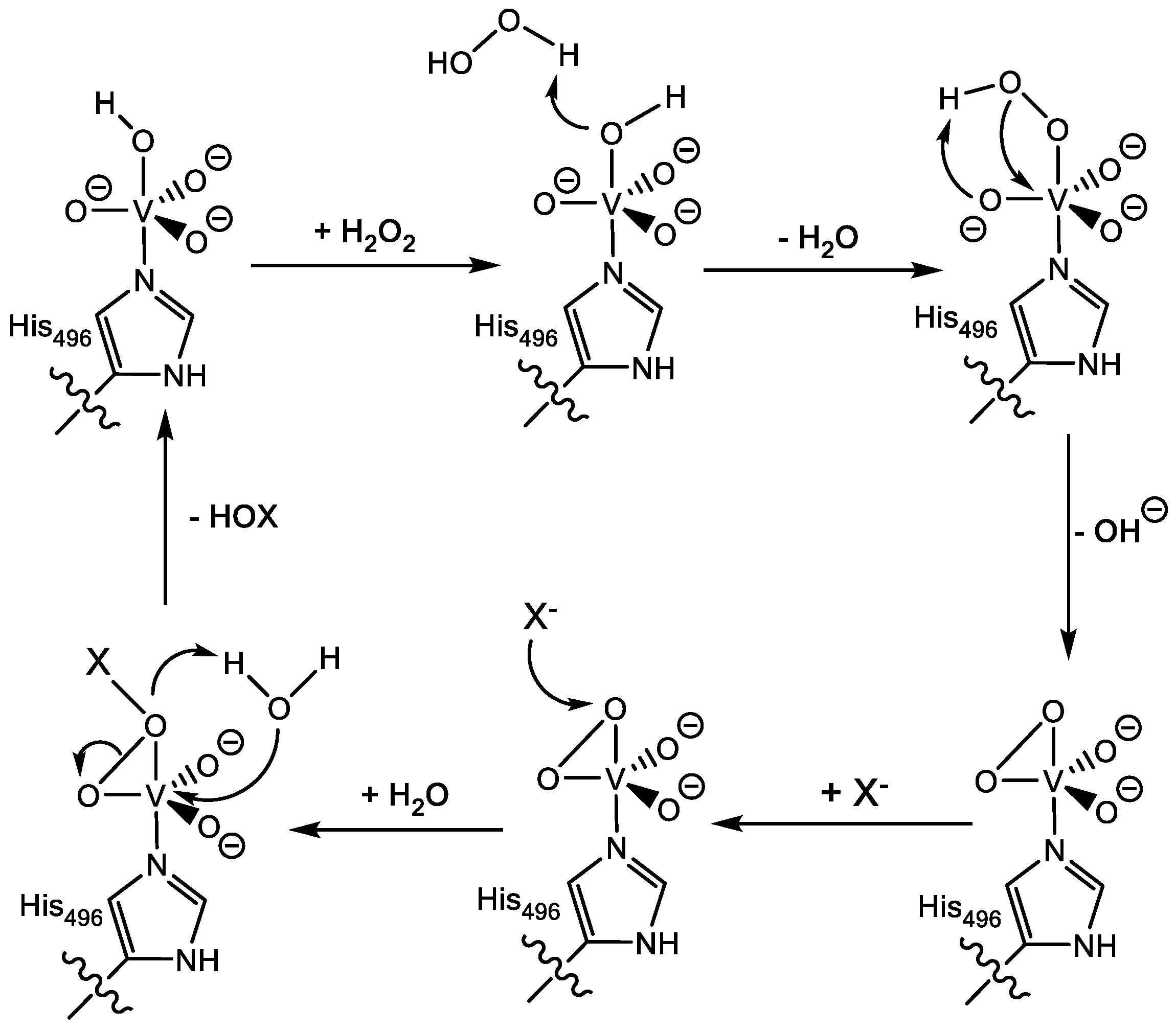 Catalysts 08 00314 g006