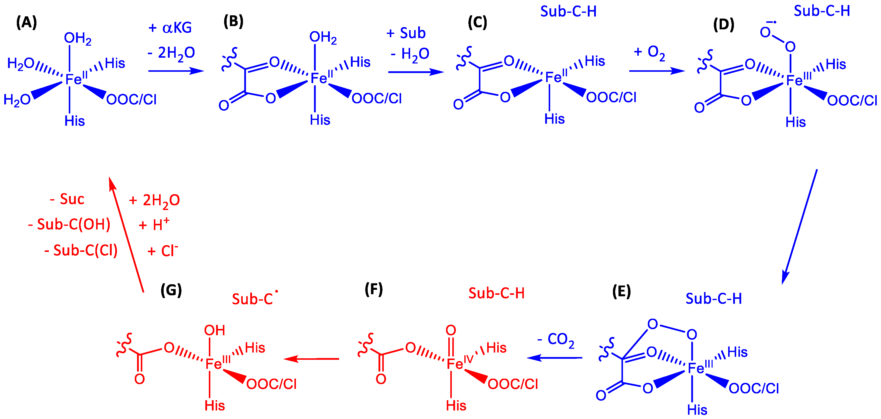 Catalysts 08 00314 g008