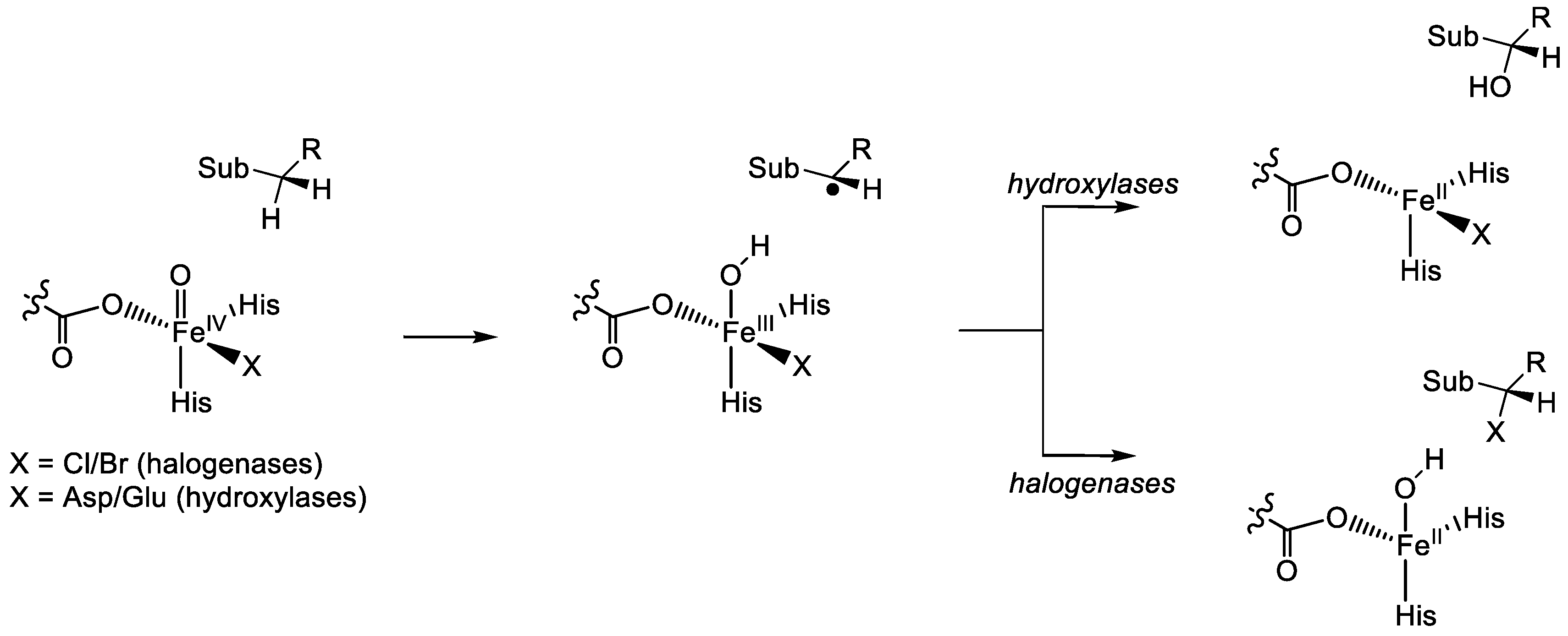 Catalysts 08 00314 g009