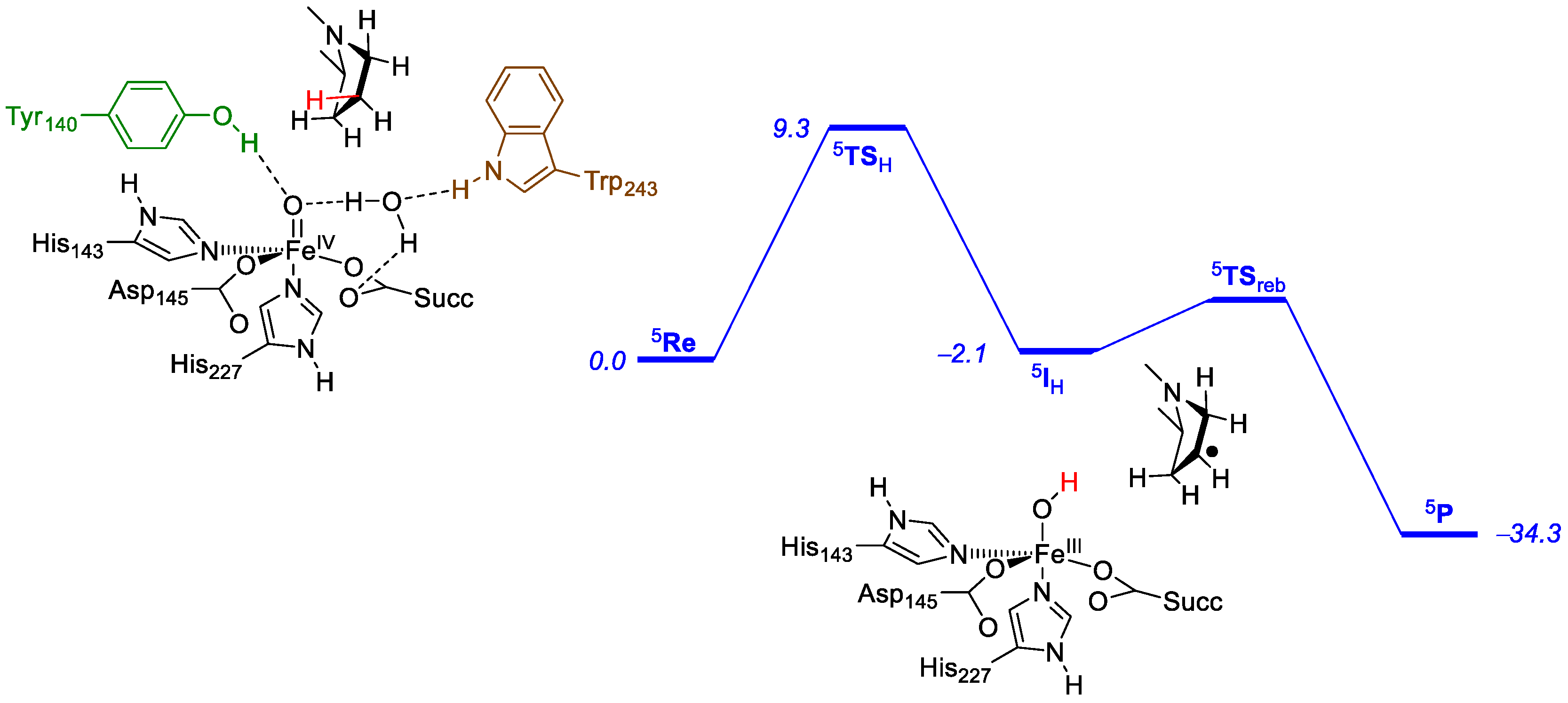 Catalysts 08 00314 g013