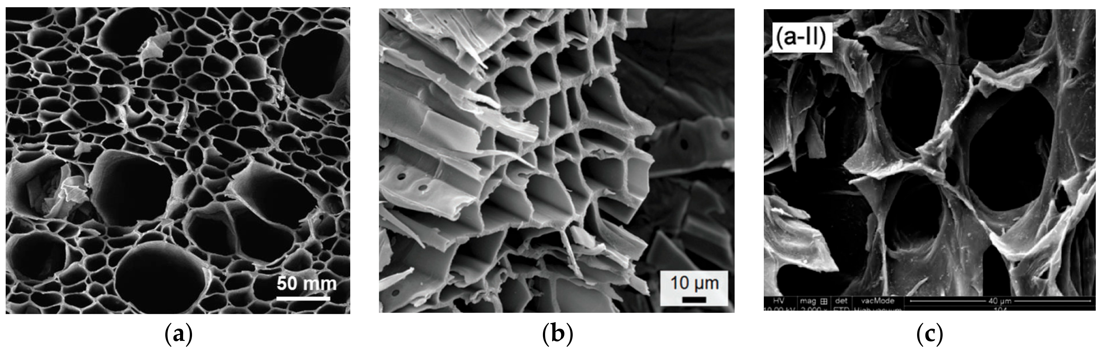 Catalysts 08 00346 g003 Catalysts 08 00346 g003