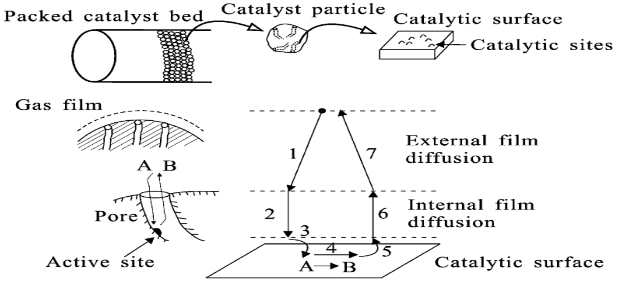 Catalysts 08 00346 g009 Catalysts 08 00346 g009