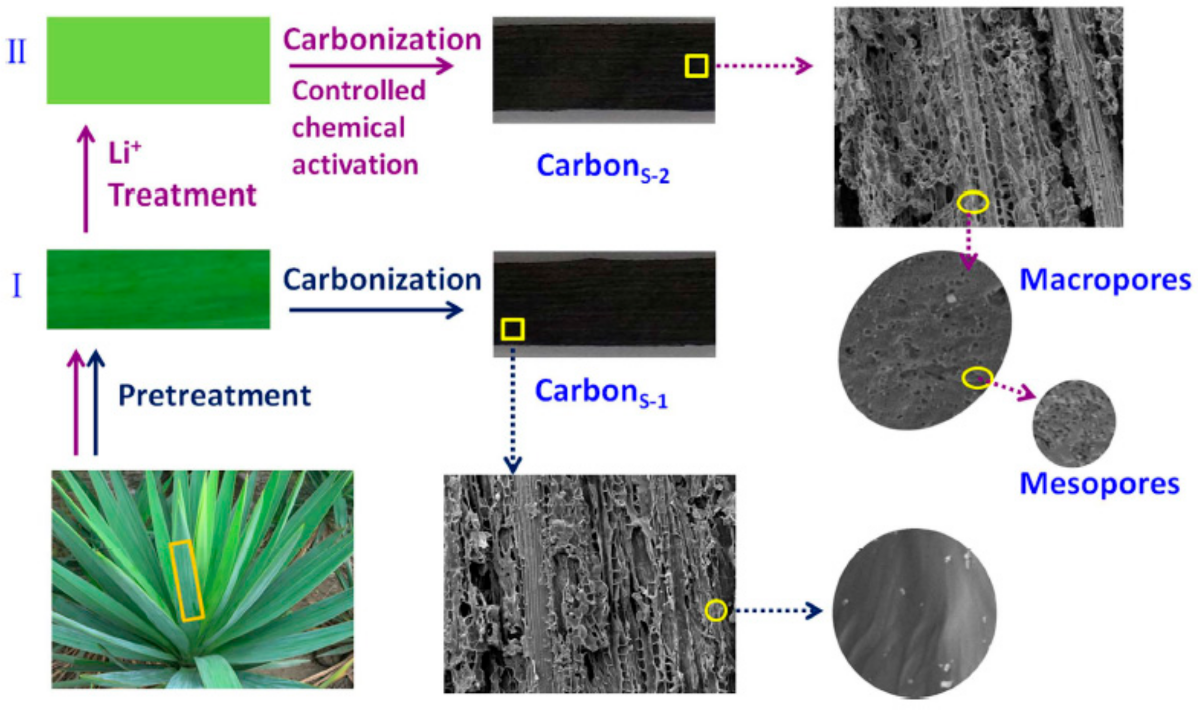 Catalysts 08 00346 g010 Catalysts 08 00346 g010