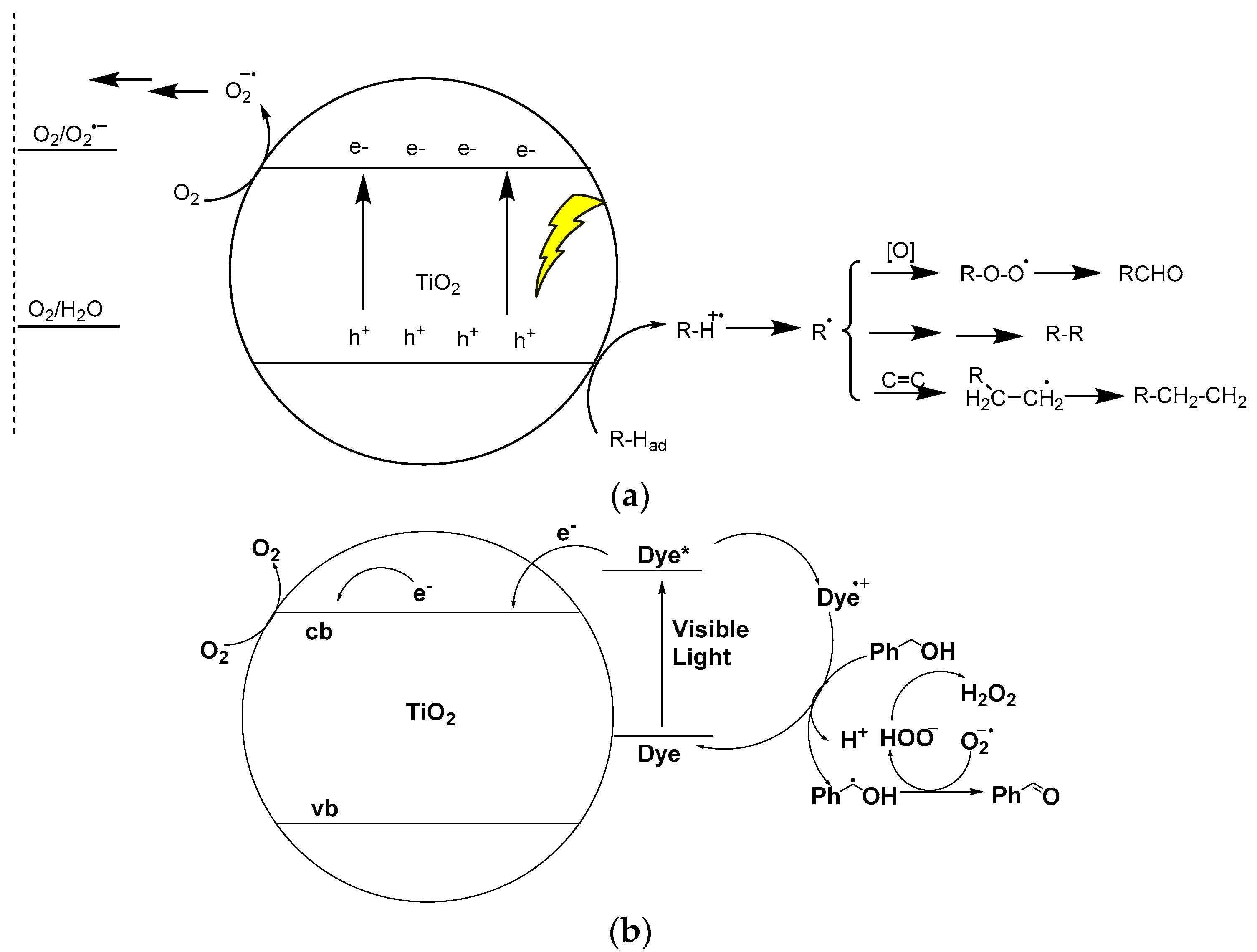 Catalysts 08 00355 g001
