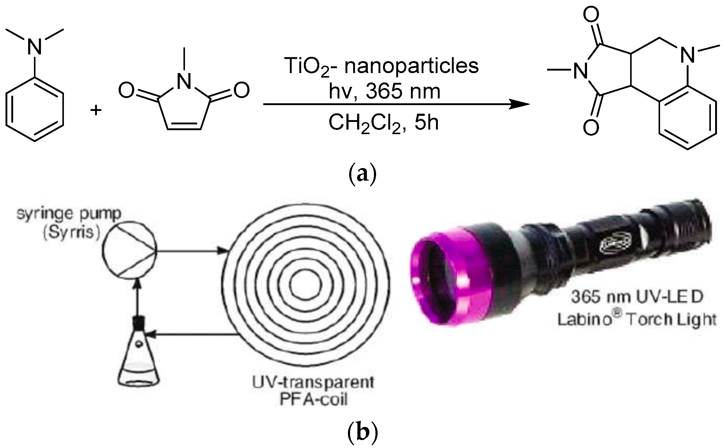 Catalysts 08 00355 g010