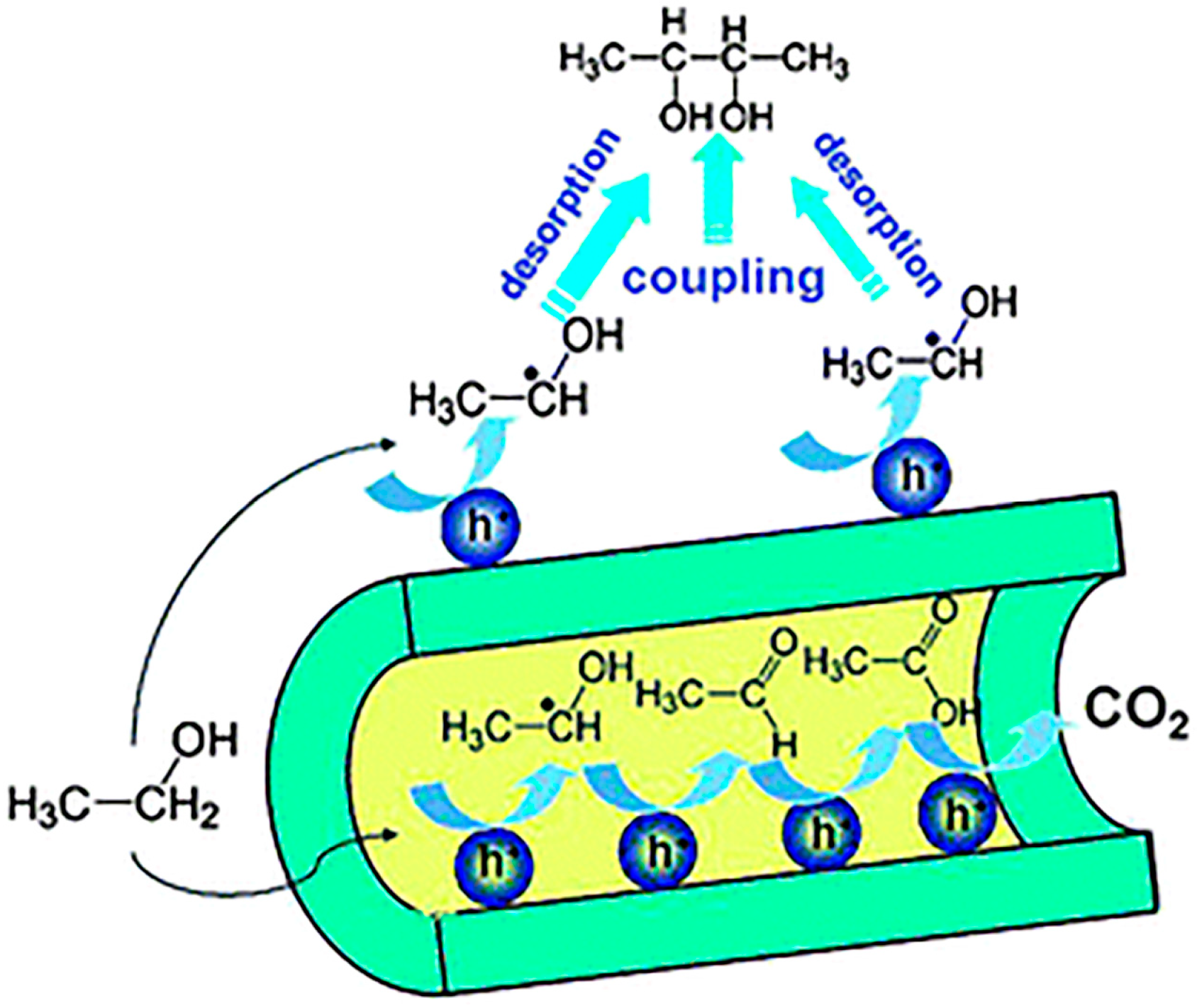 Catalysts 08 00355 g015