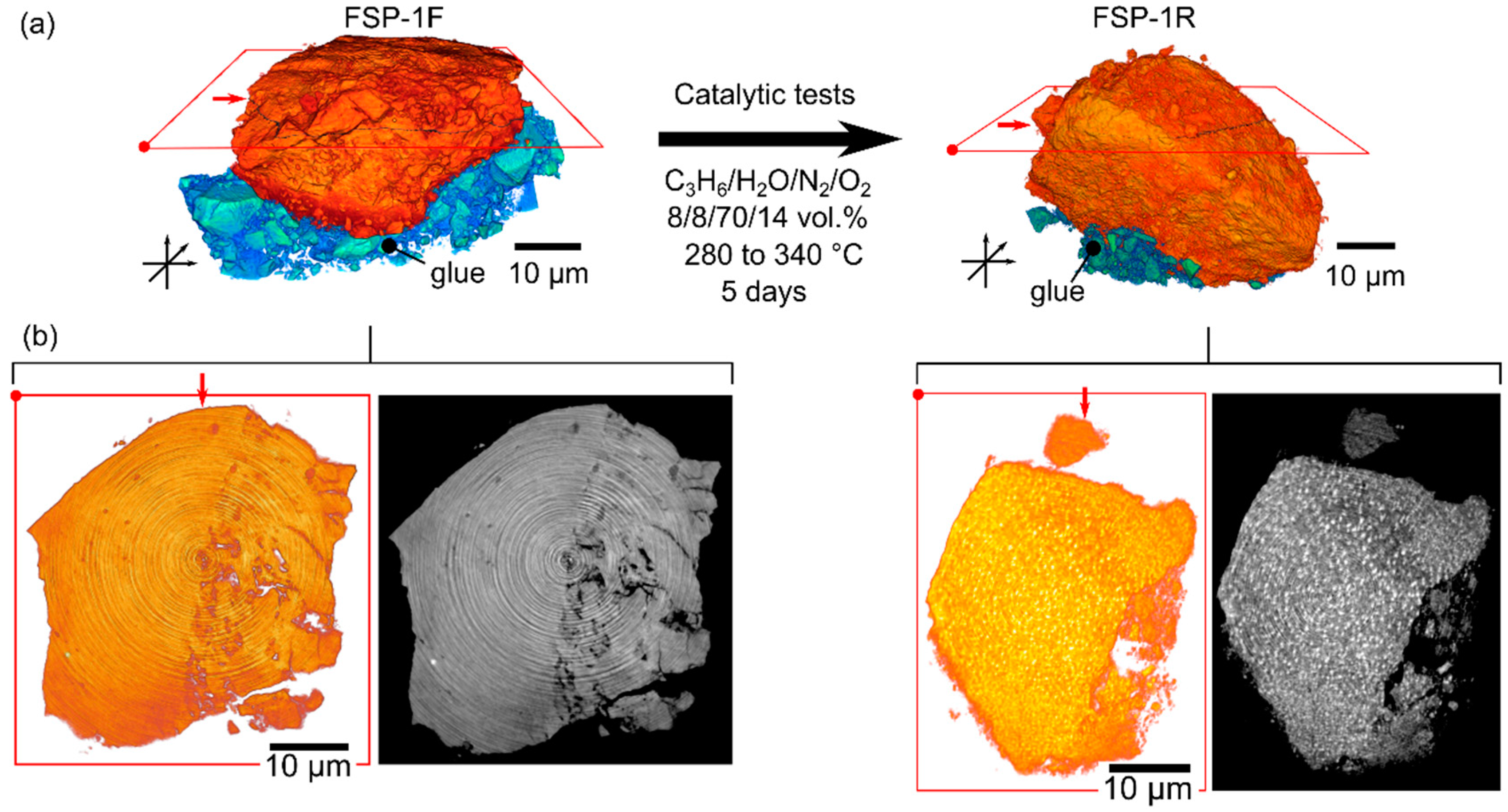 Catalysts 08 00356 g007 Catalysts 08 00356 g007