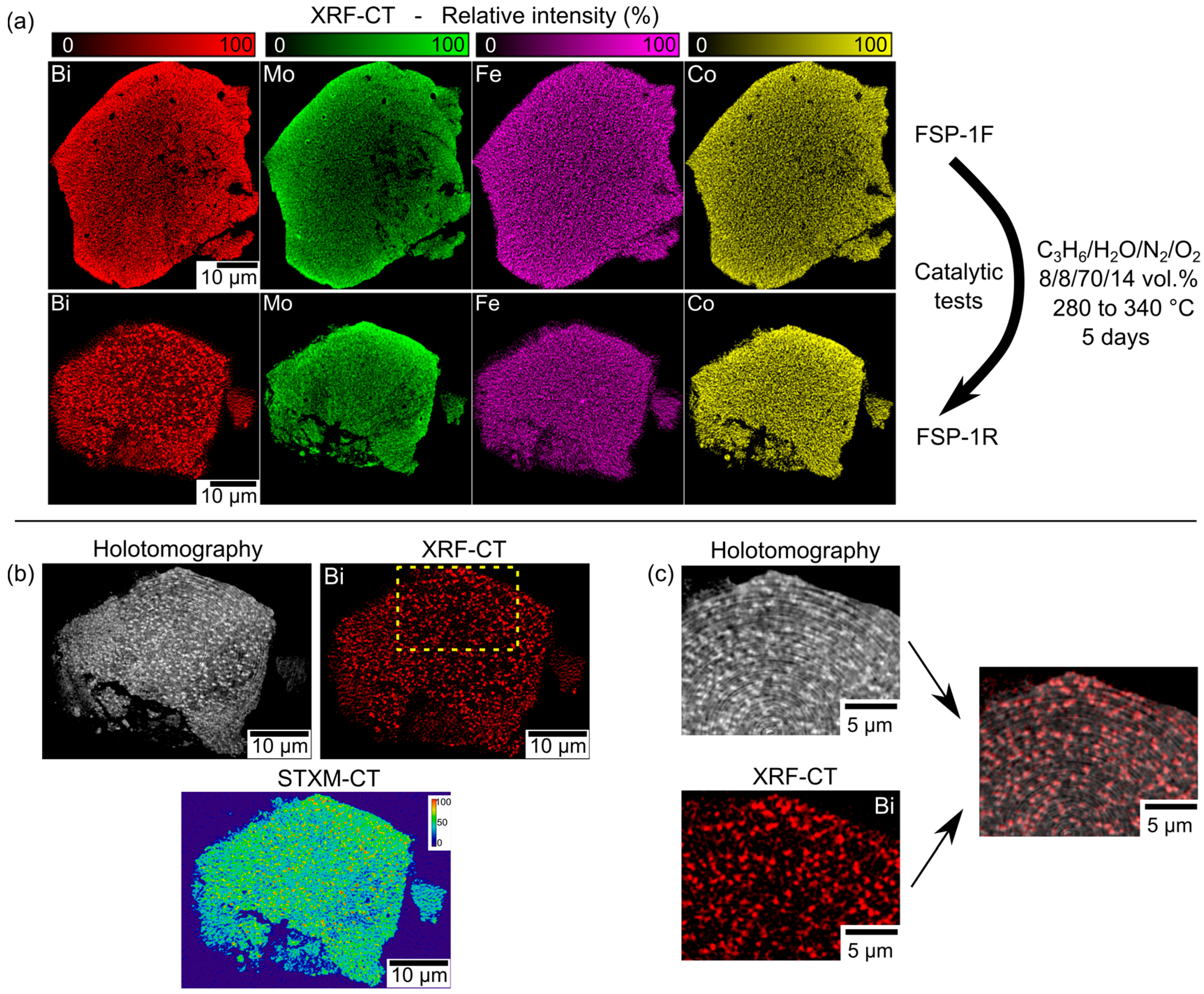 Catalysts 08 00356 g008 Catalysts 08 00356 g008