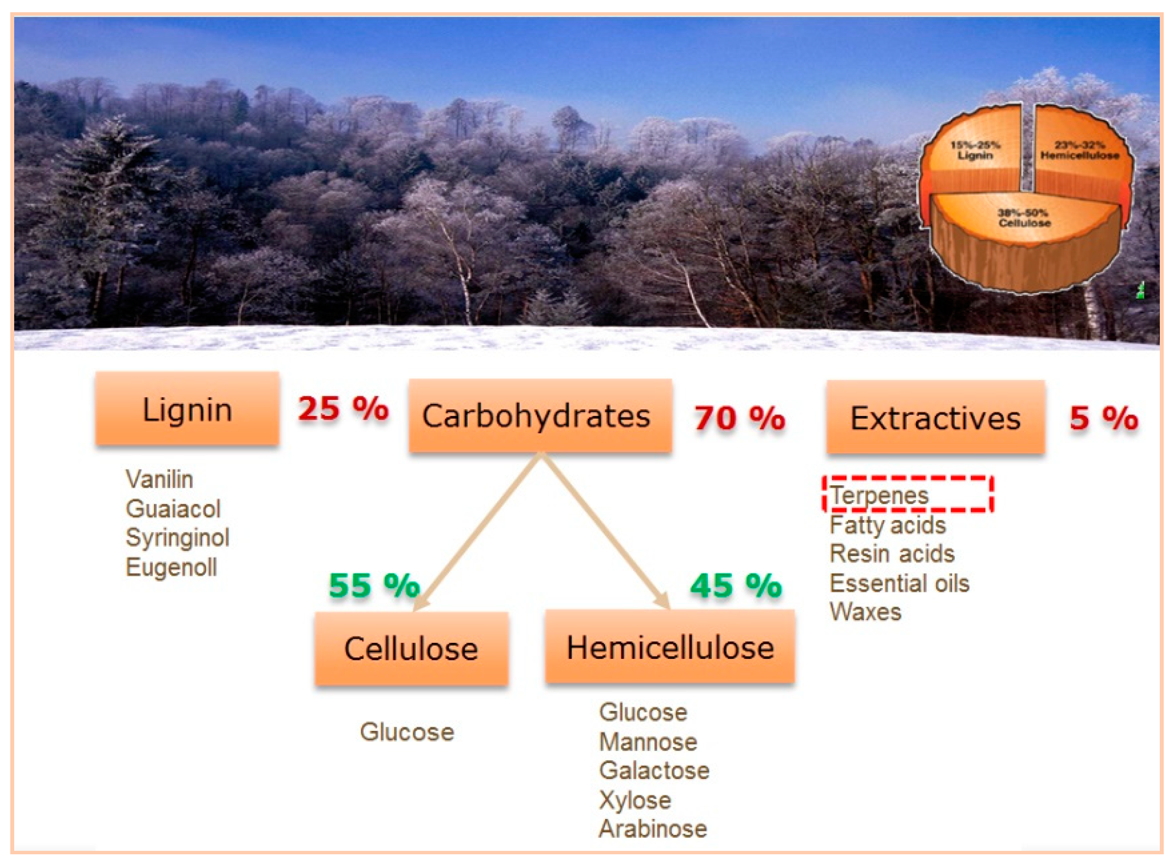 Catalysts 08 00365 g001