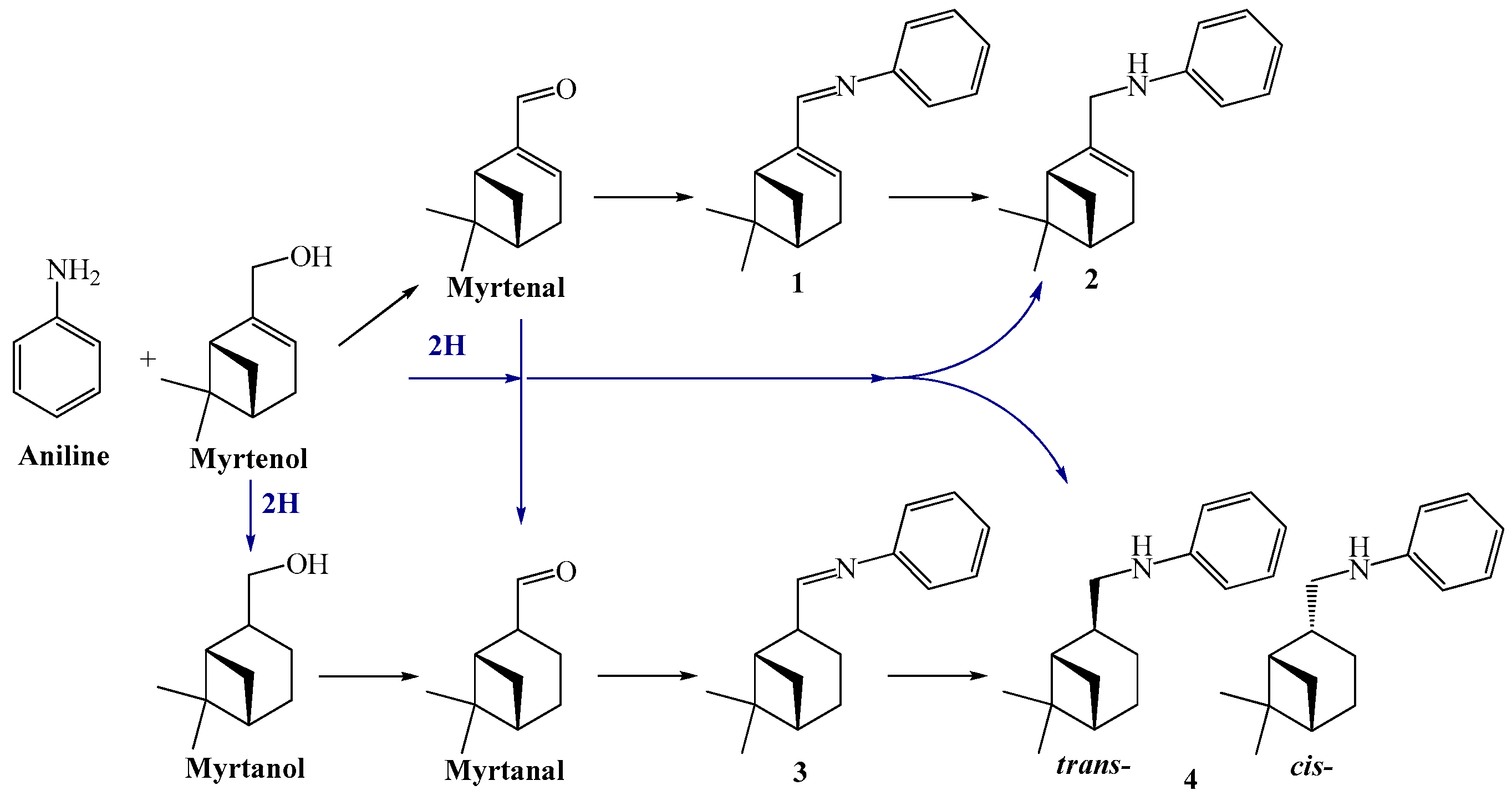 Catalysts 08 00365 g023