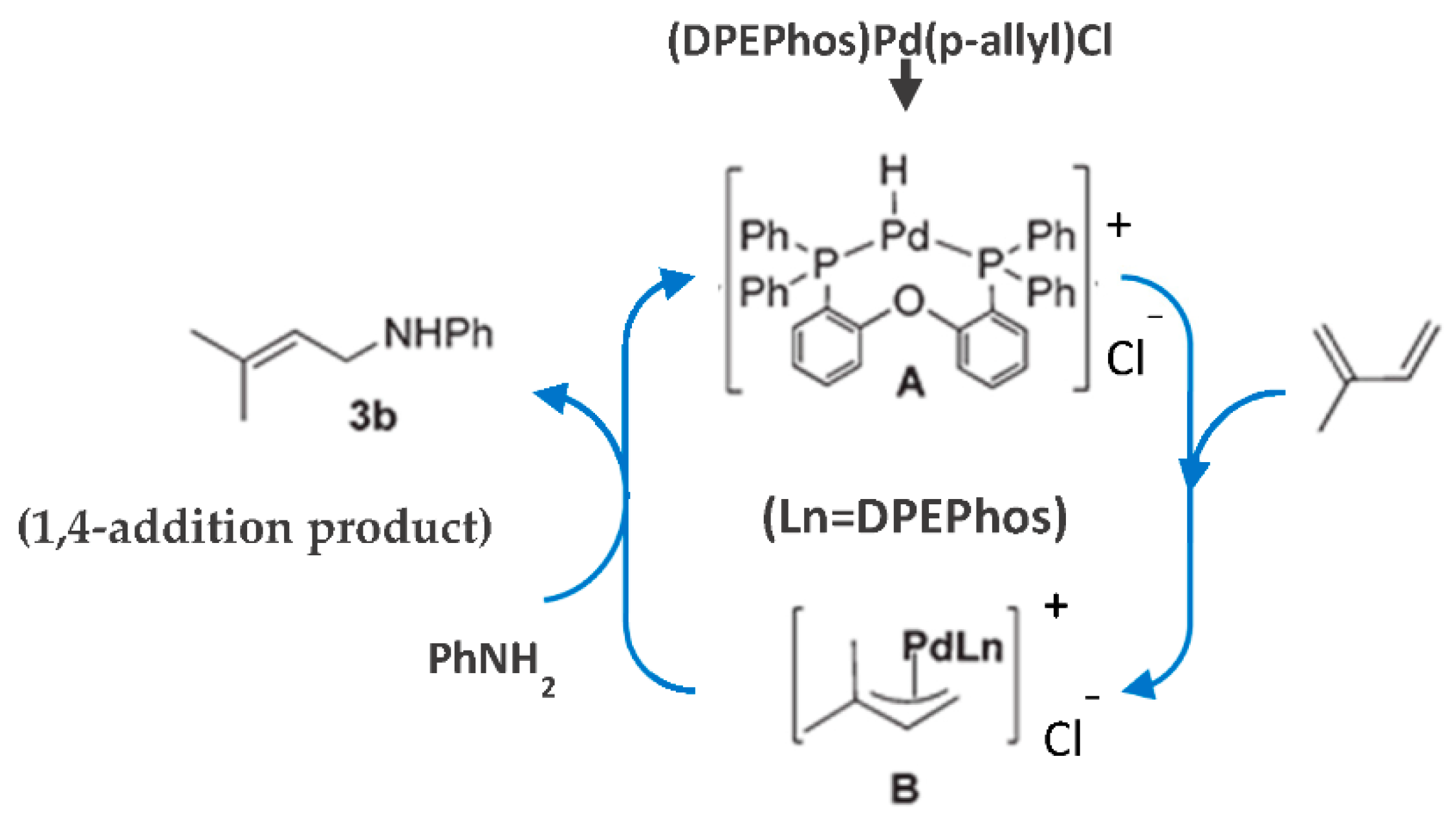 Catalysts 08 00365 g030