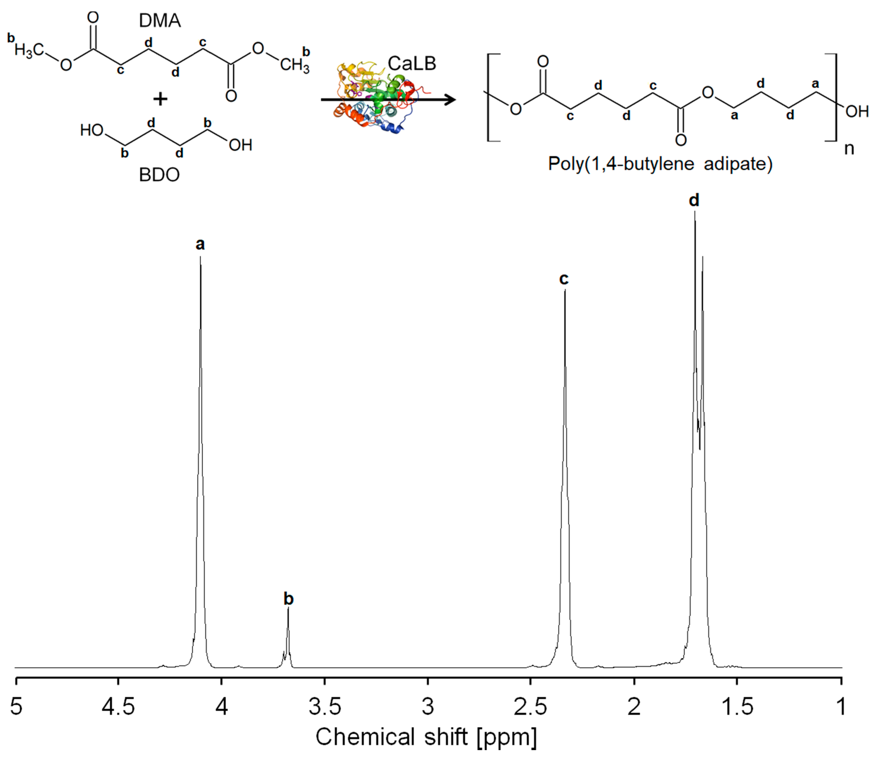 Catalysts 08 00369 g002