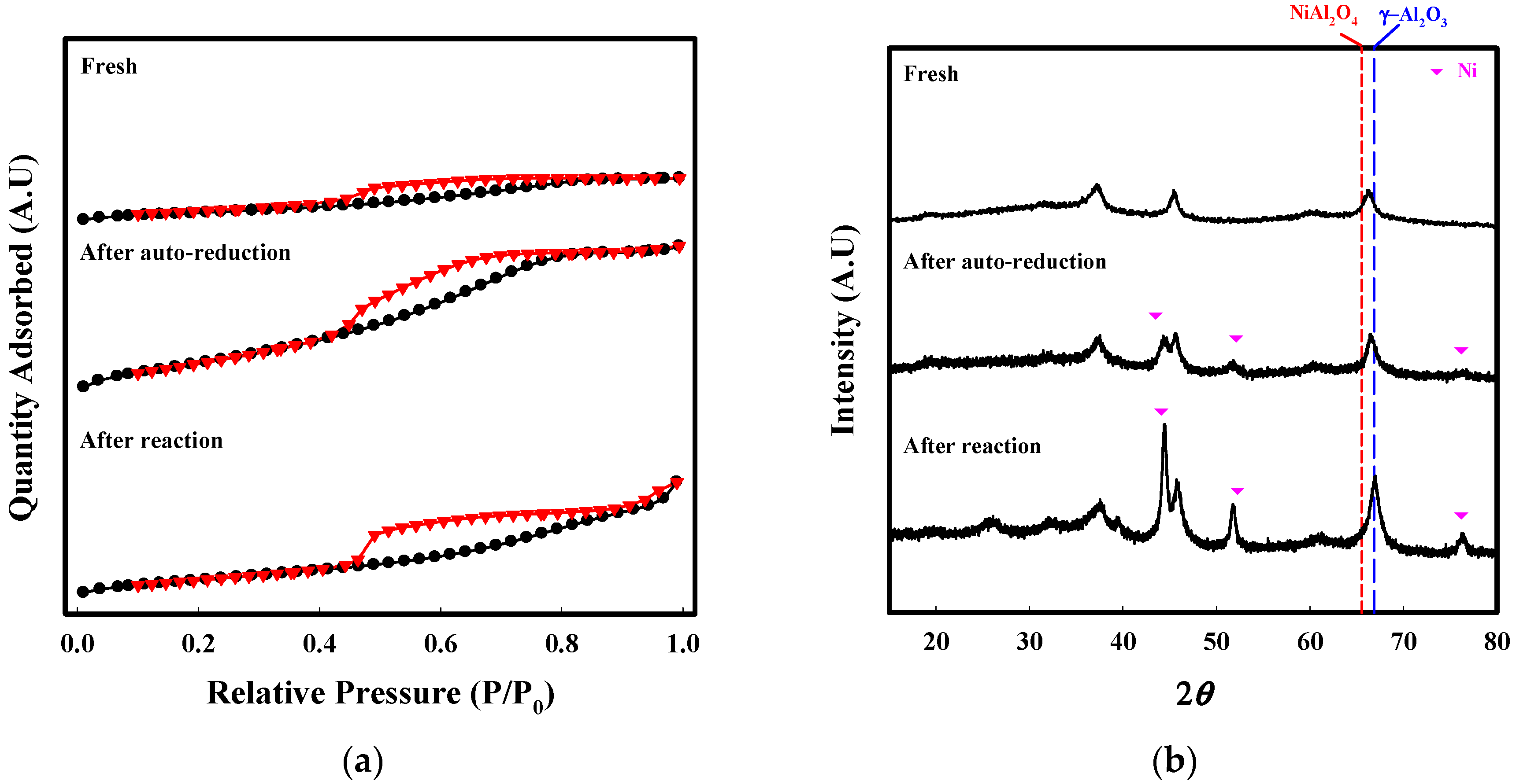 Catalysts 08 00371 g011 Catalysts 08 00371 g011