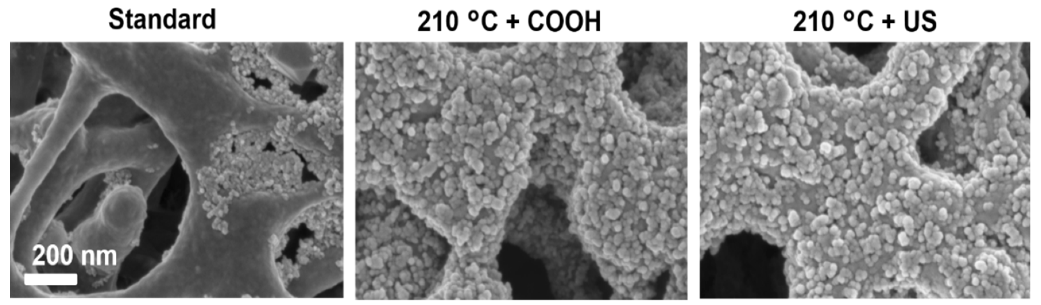 Catalysts 08 00376 g004