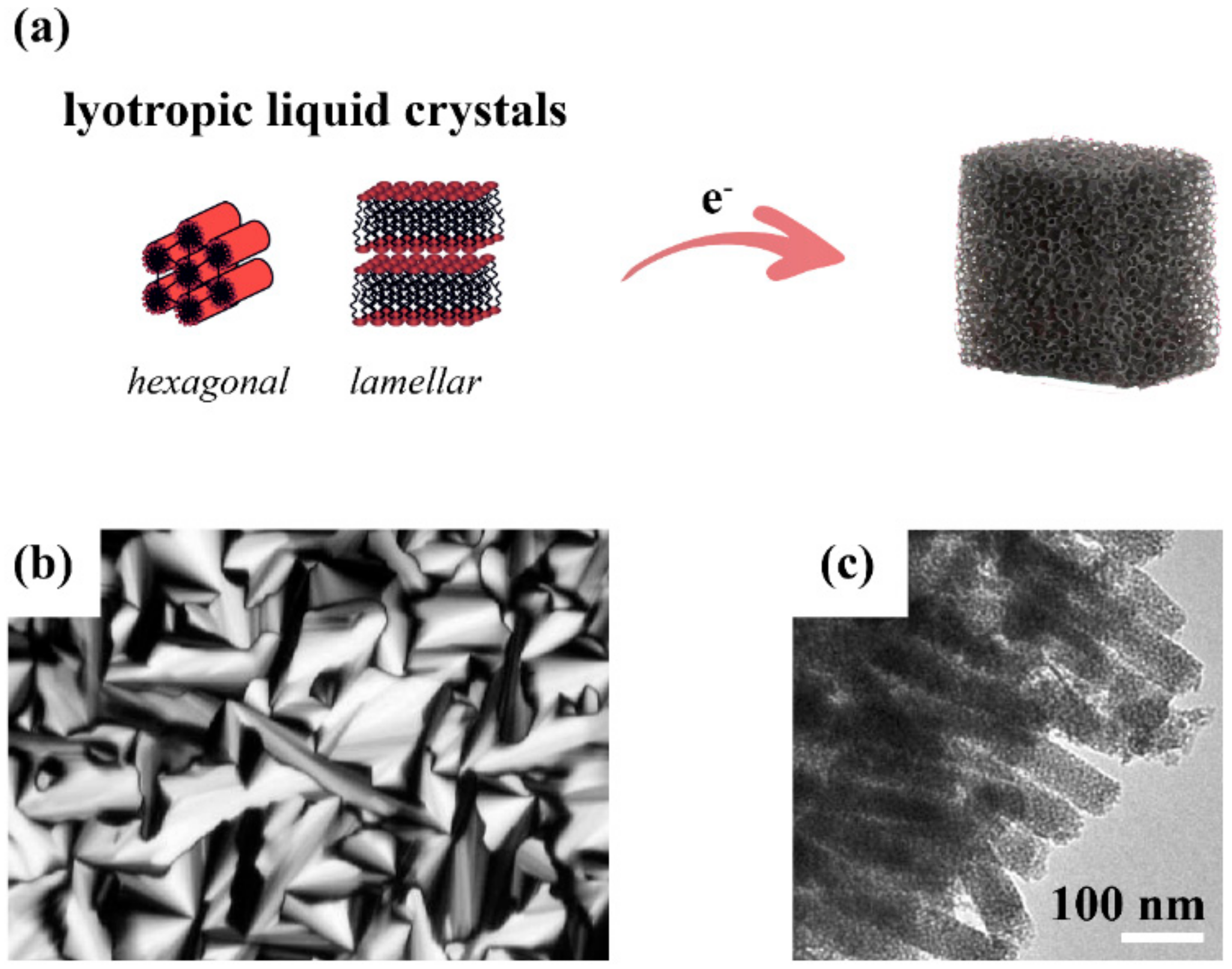 Catalysts 08 00395 g005 Catalysts 08 00395 g005