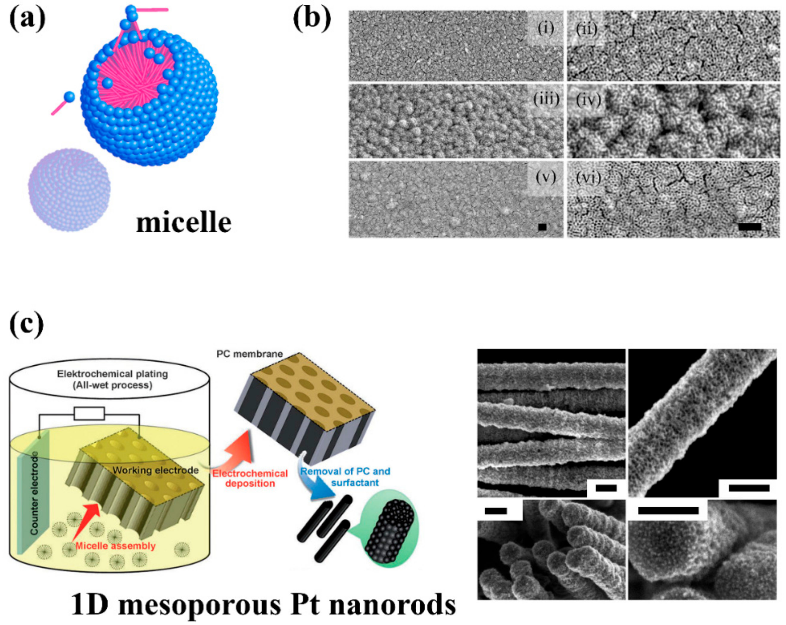 Catalysts 08 00395 g006 Catalysts 08 00395 g006