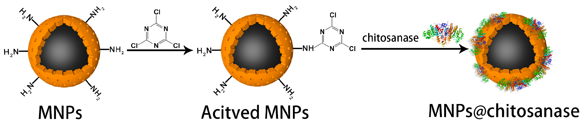 Catalysts 08 00401 g005