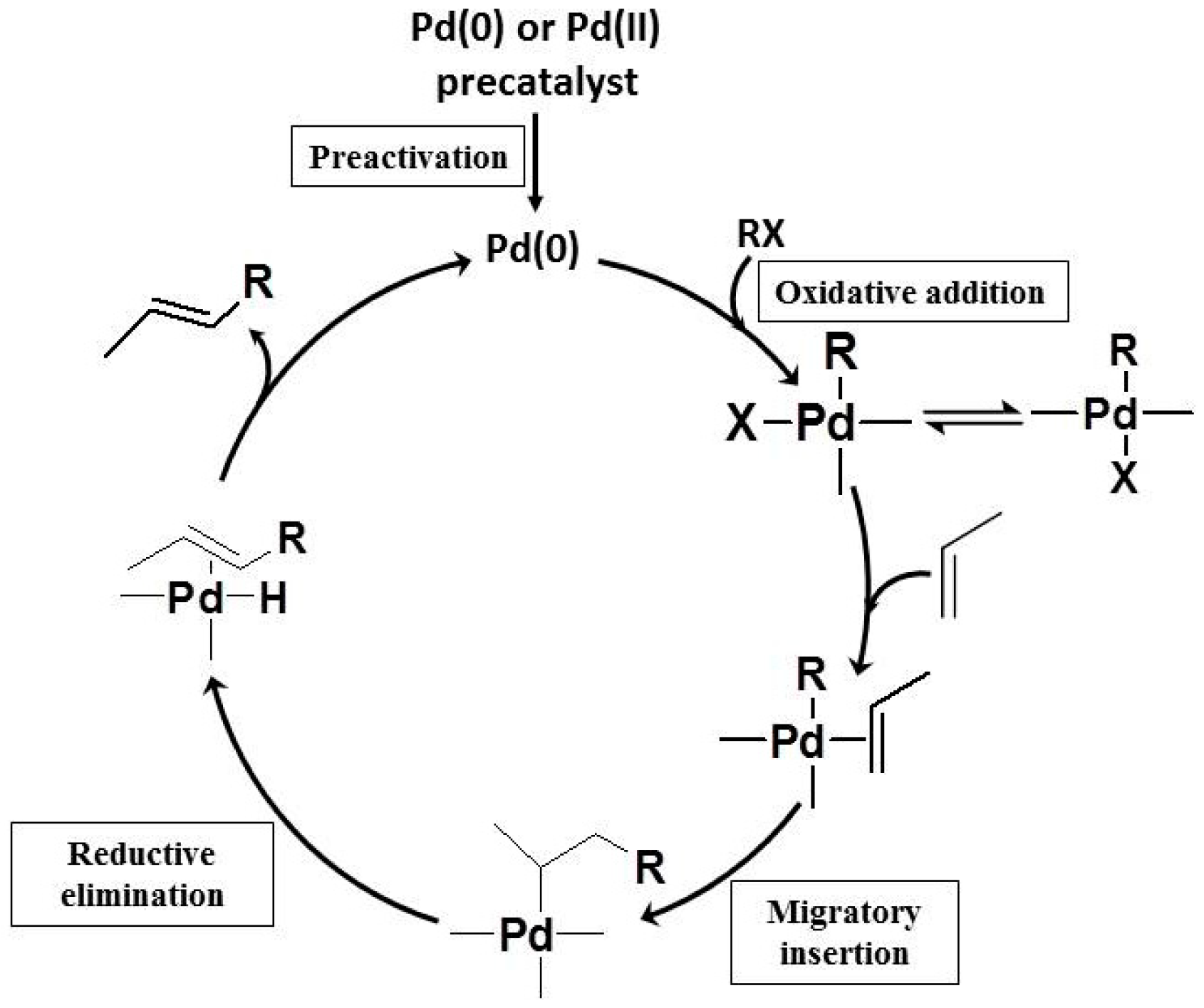 Catalysts 08 00404 g005