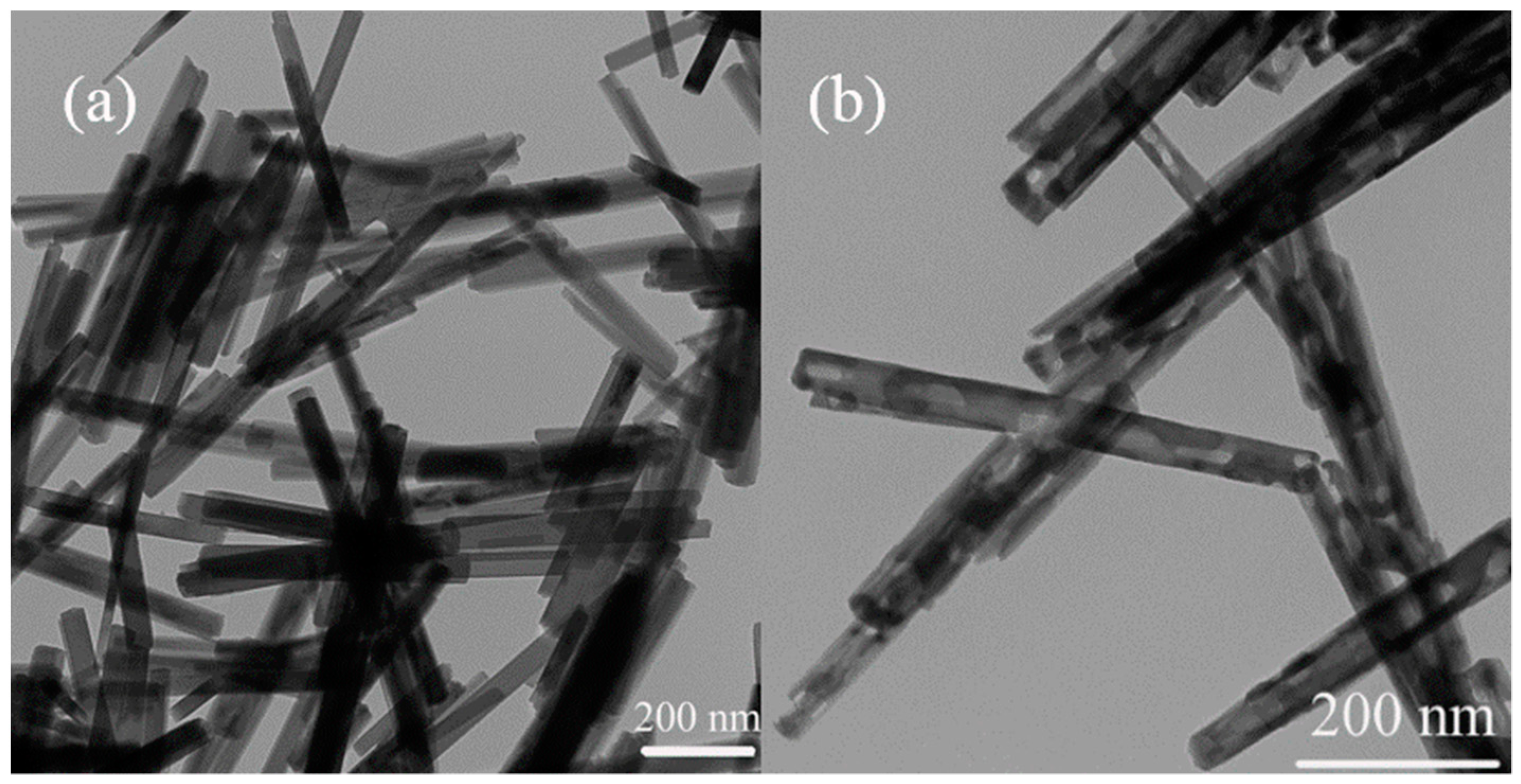 Catalysts 08 00415 g002