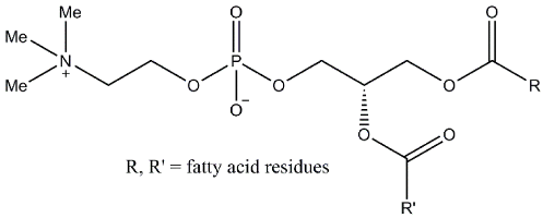 Catalysts 08 00418 i001