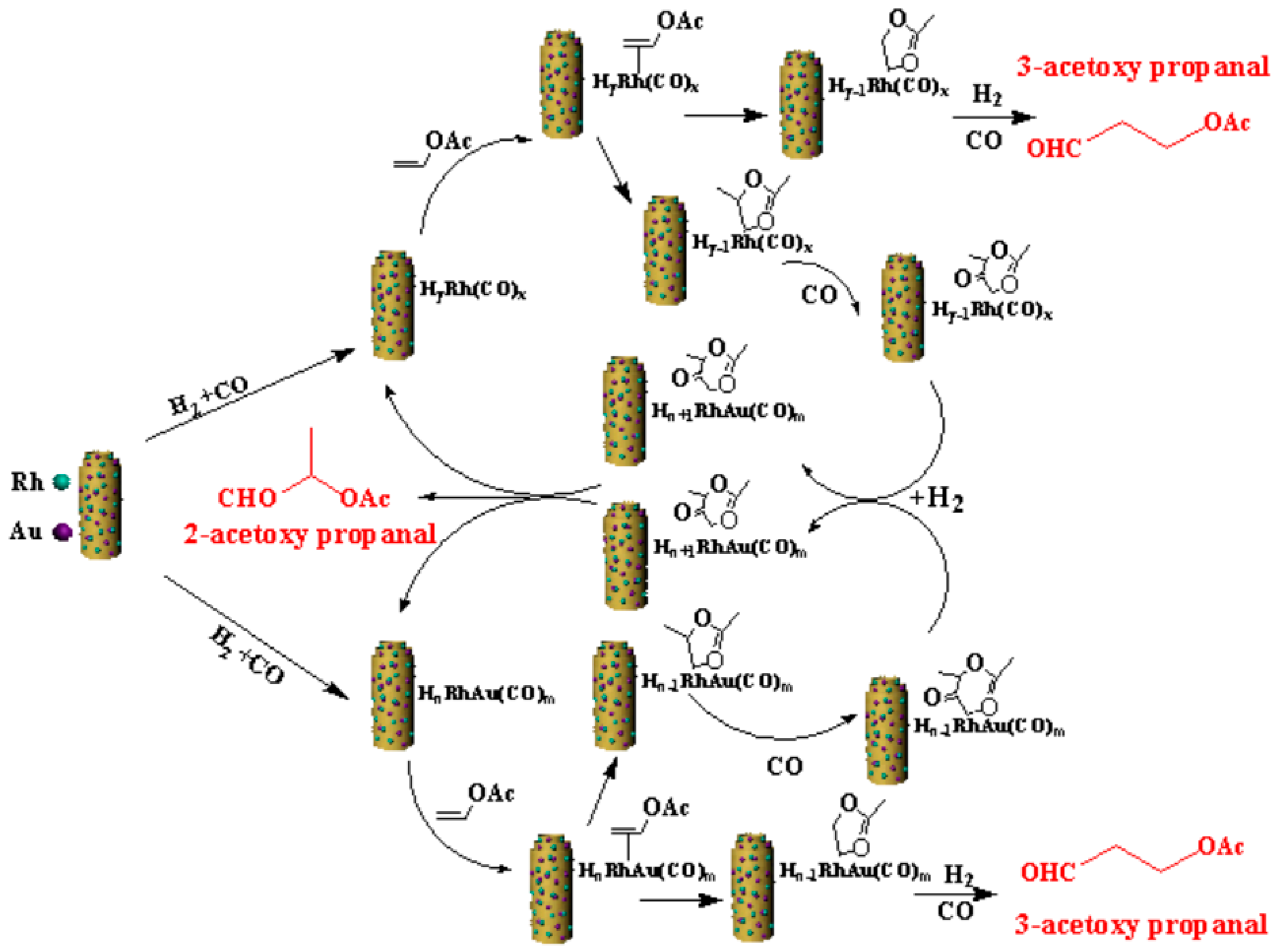 Catalysts 08 00420 sch002