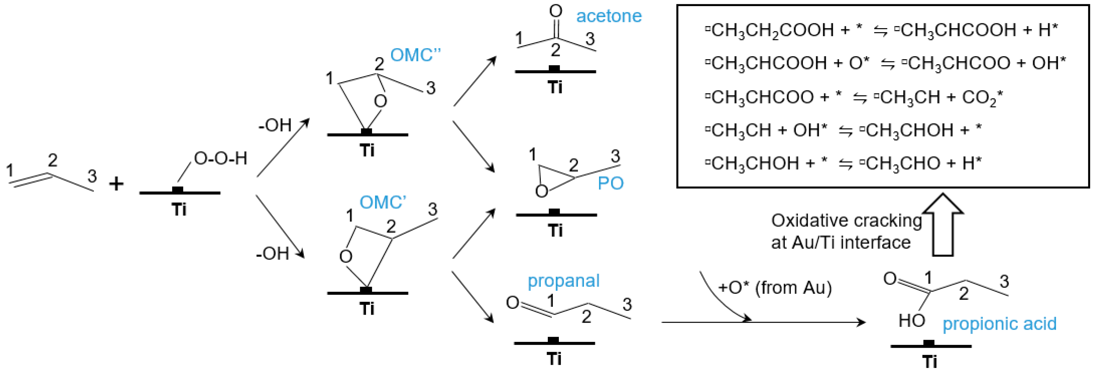 Catalysts 08 00421 g010