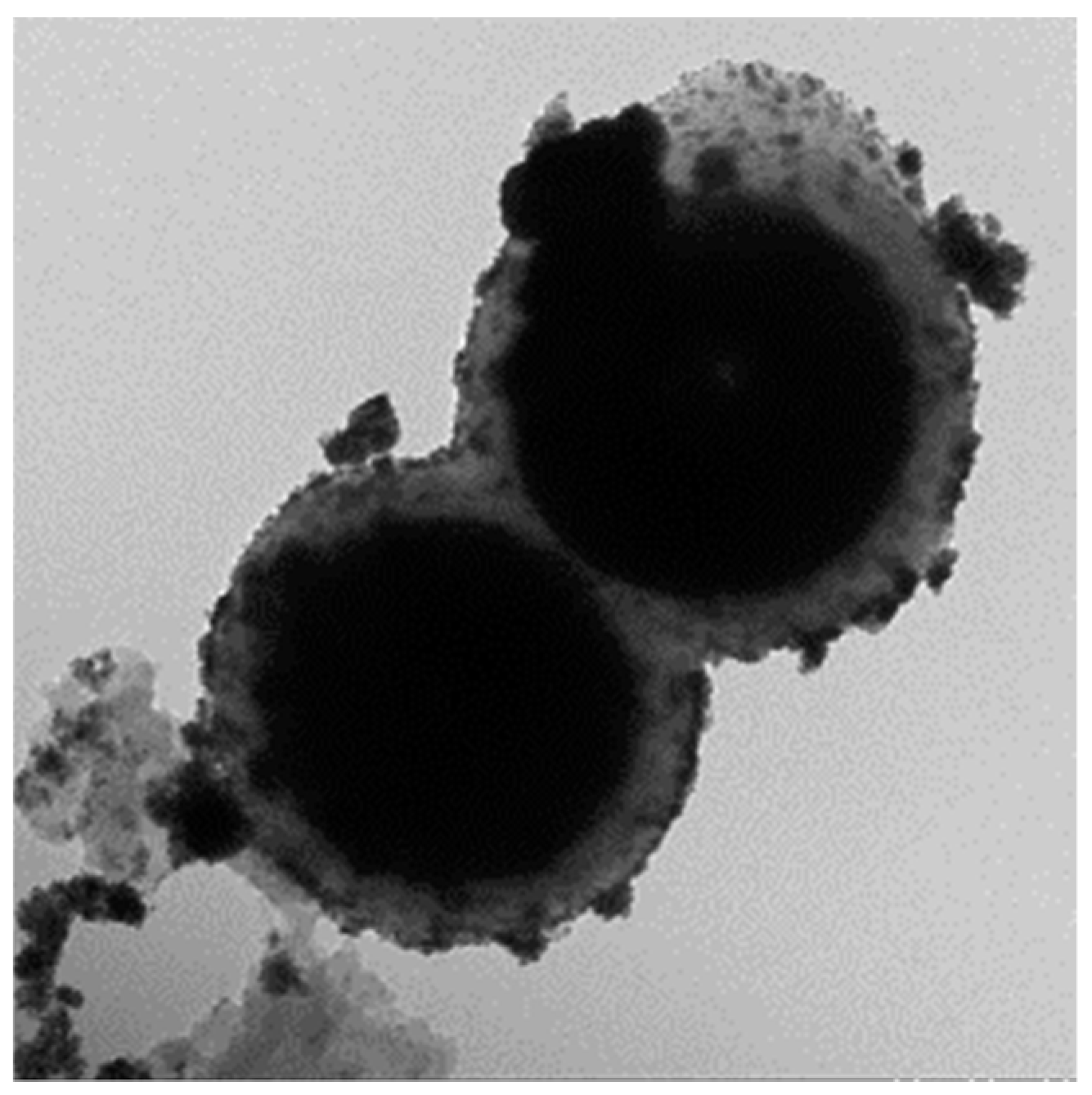 Catalysts 08 00443 g003