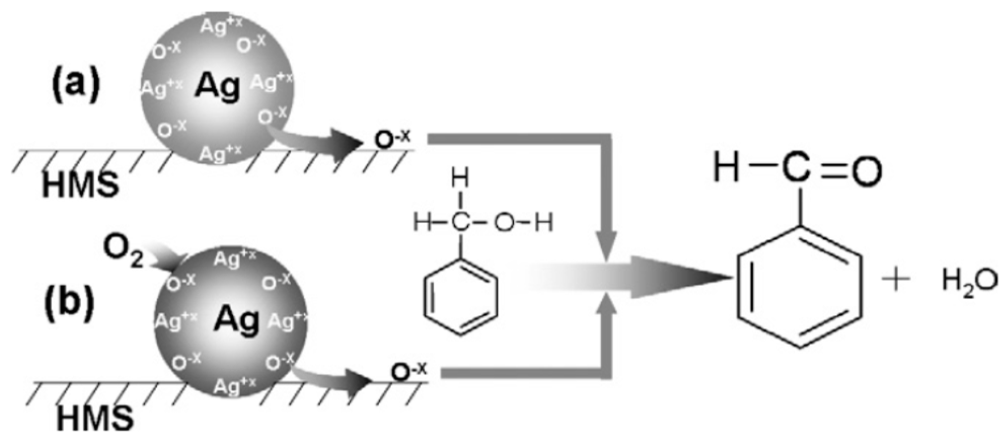 Catalysts 08 00447 g004