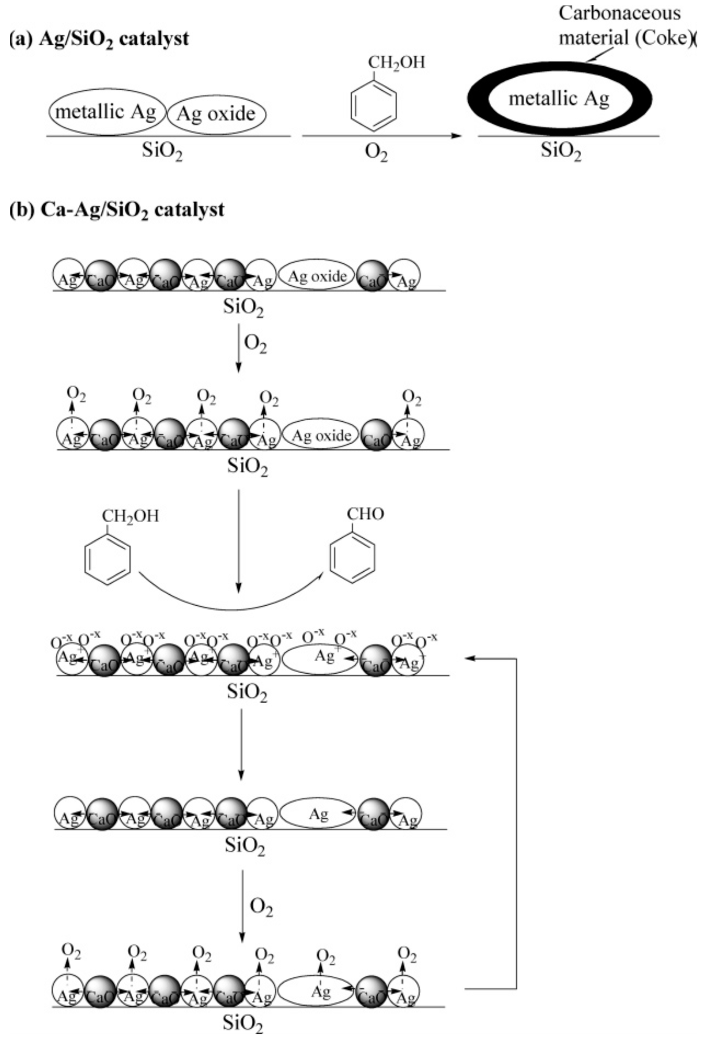 Catalysts 08 00447 g005