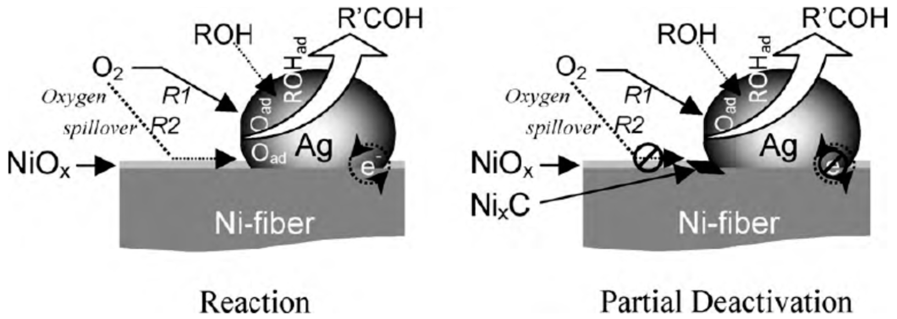 Catalysts 08 00447 g006