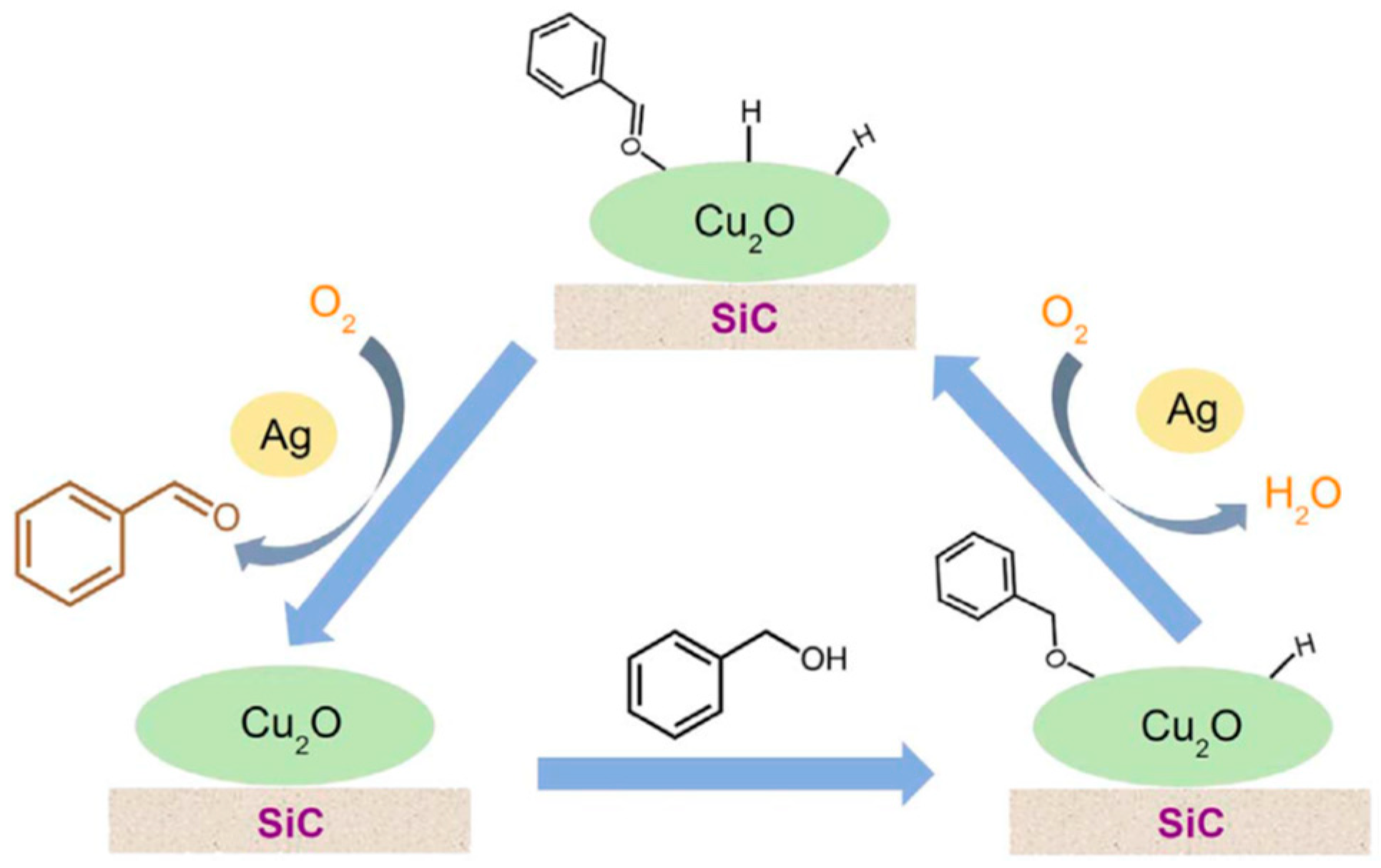 Catalysts 08 00447 g007