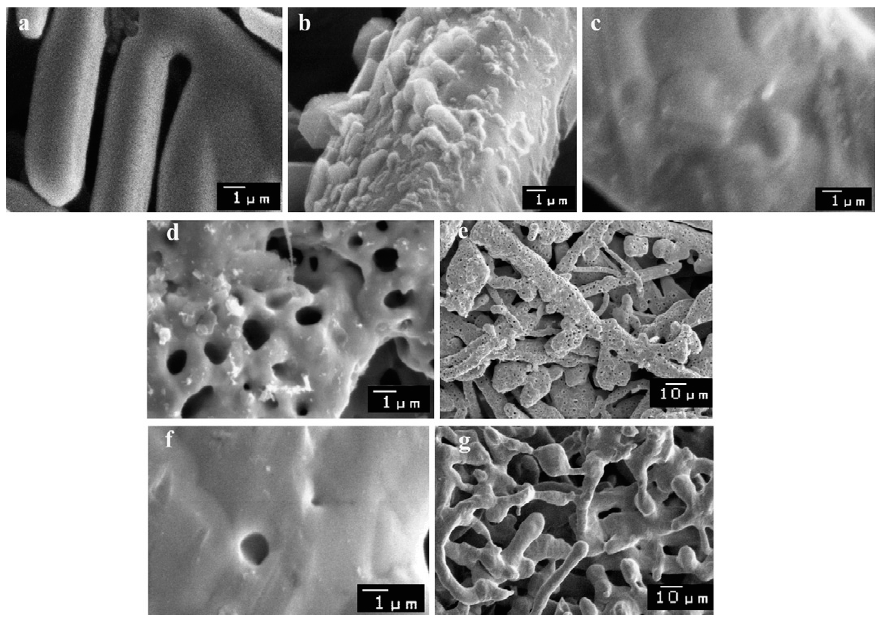 Catalysts 08 00447 g008