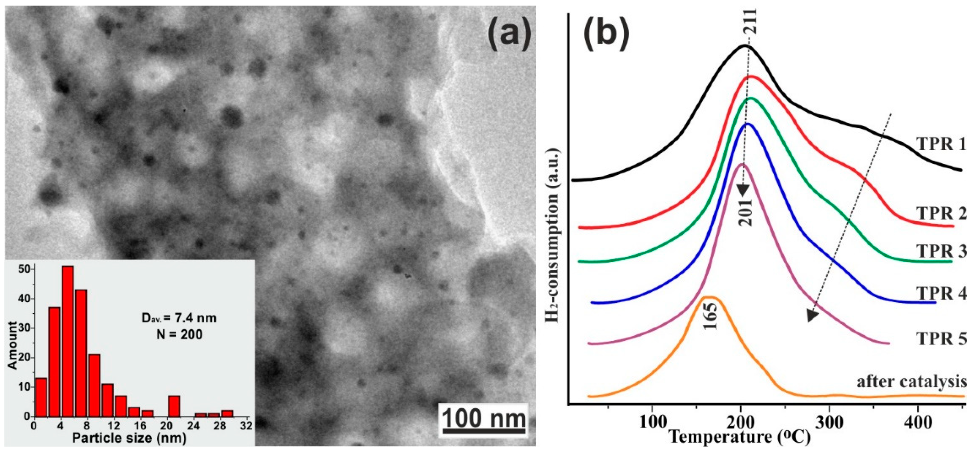 Catalysts 08 00447 g010