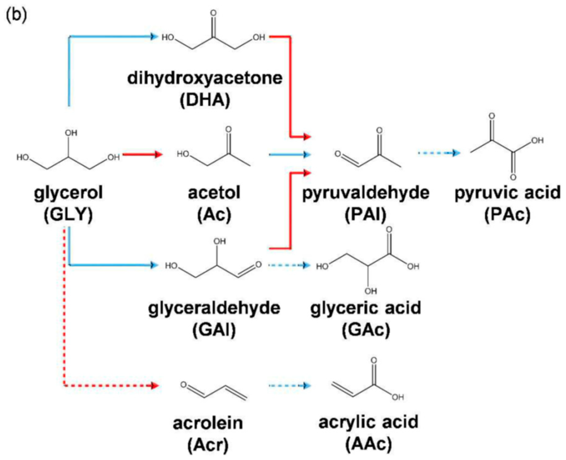 Catalysts 08 00447 g014