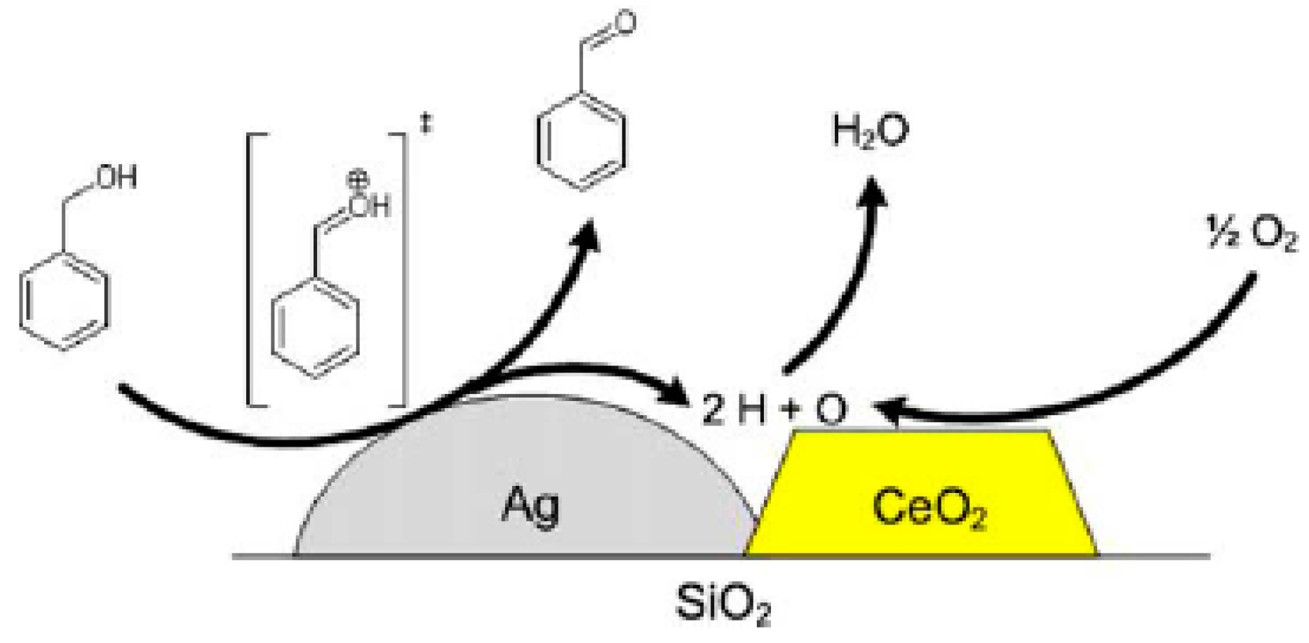Catalysts 08 00447 g015