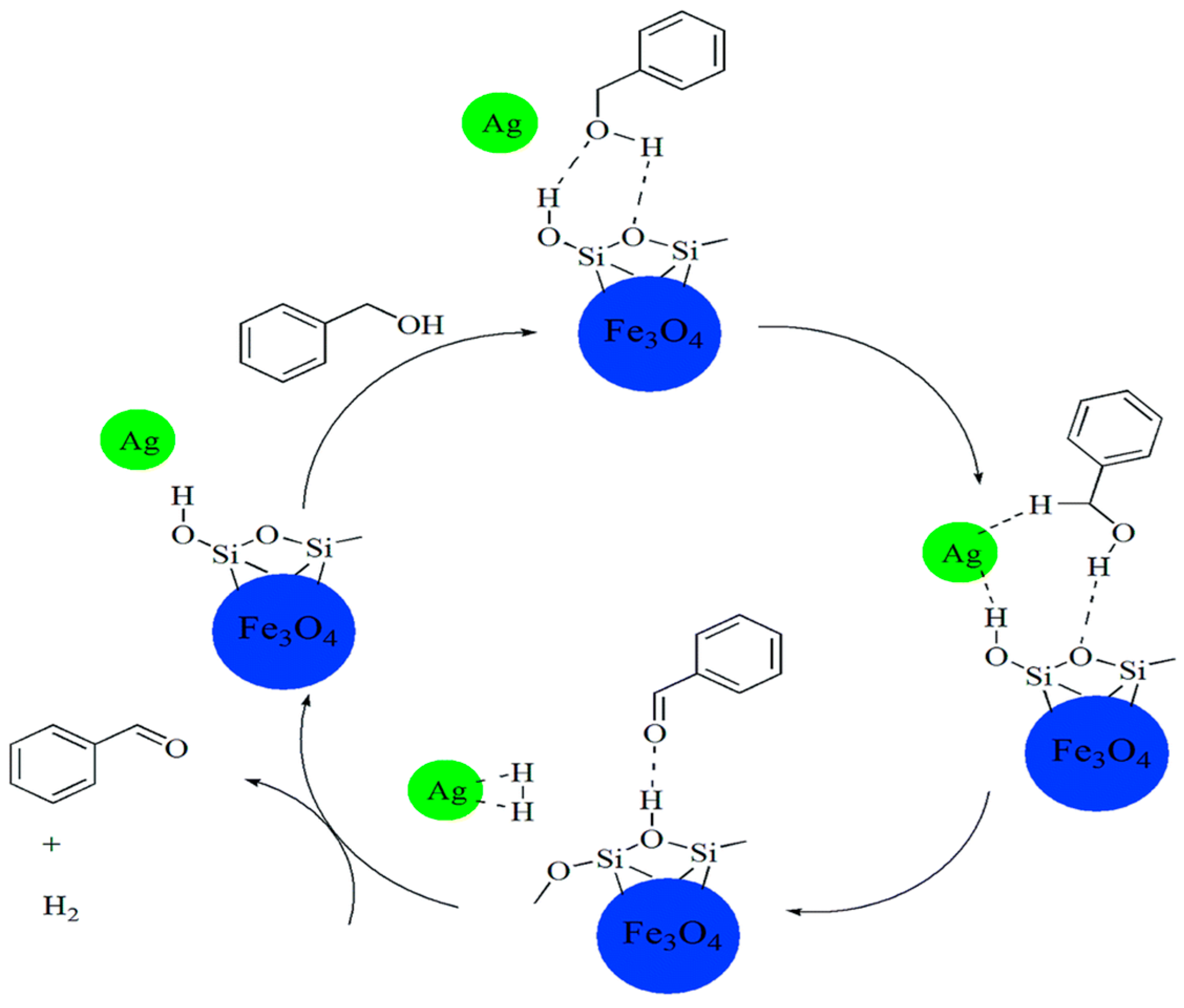 Catalysts 08 00447 g016