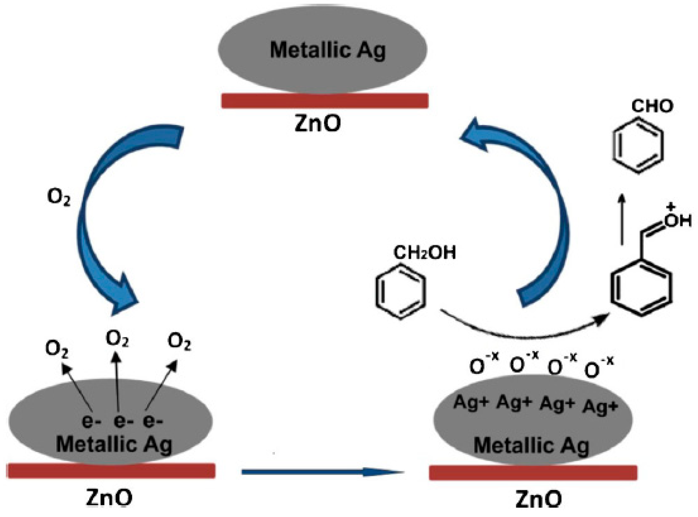 Catalysts 08 00447 g017