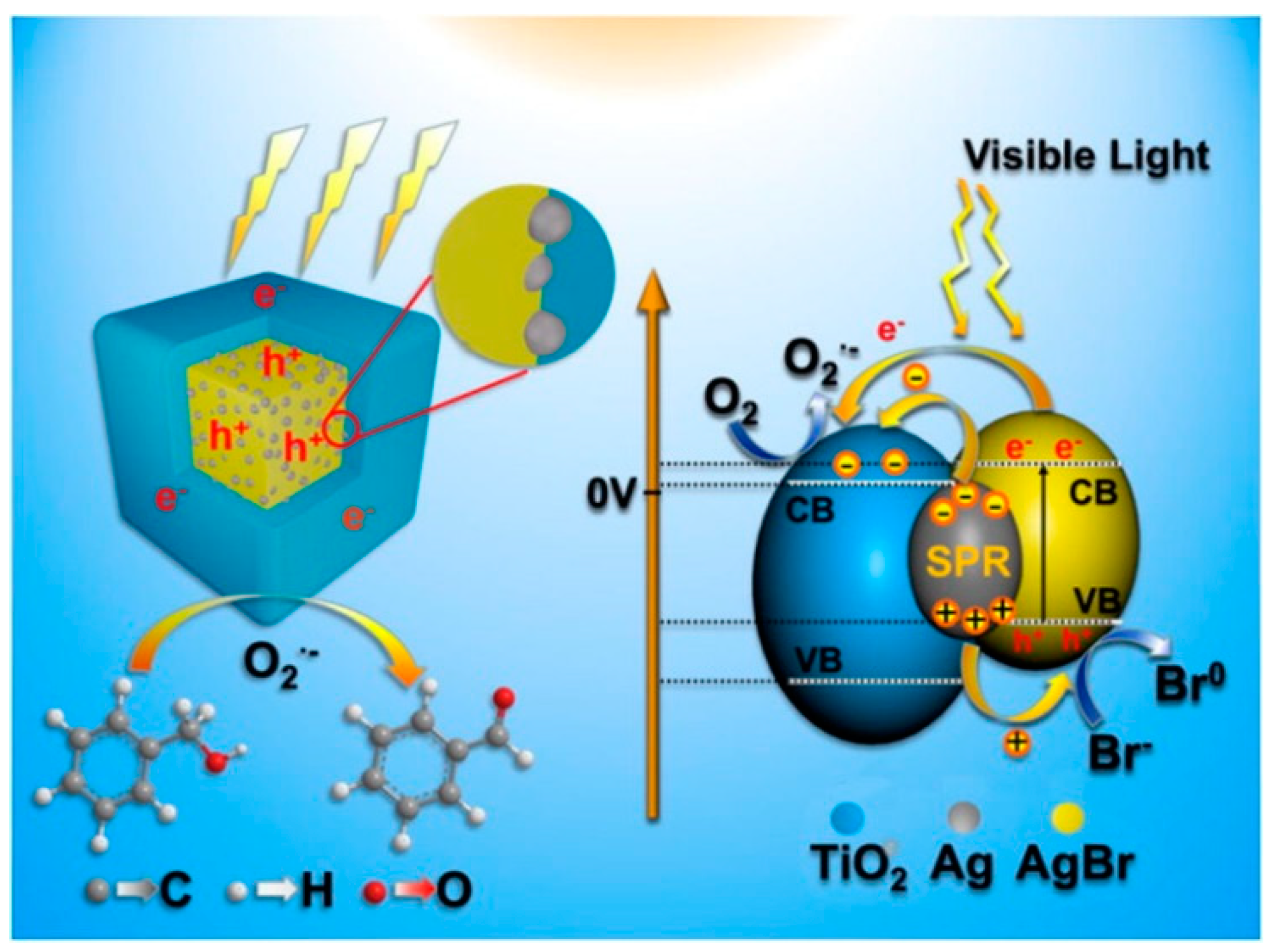 Catalysts 08 00447 g024