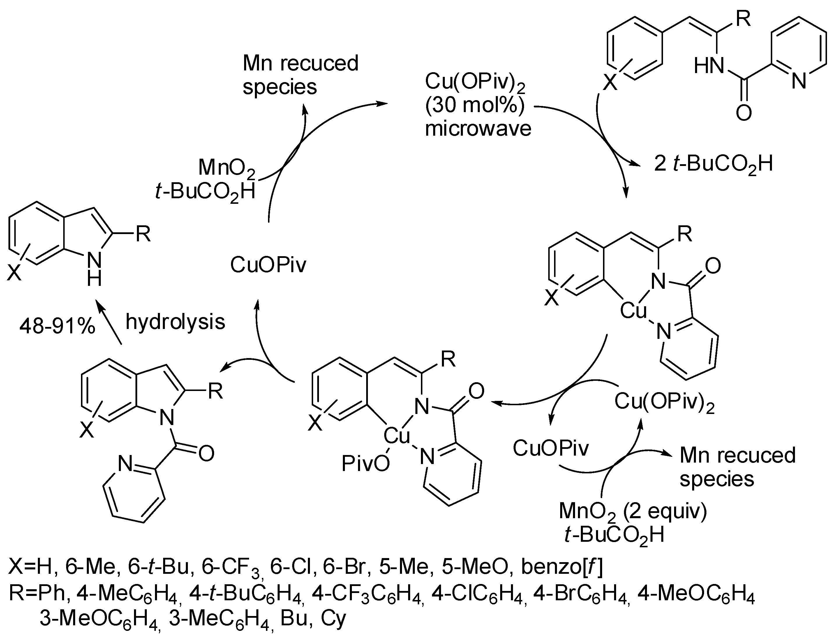 Catalysts 08 00458 sch015