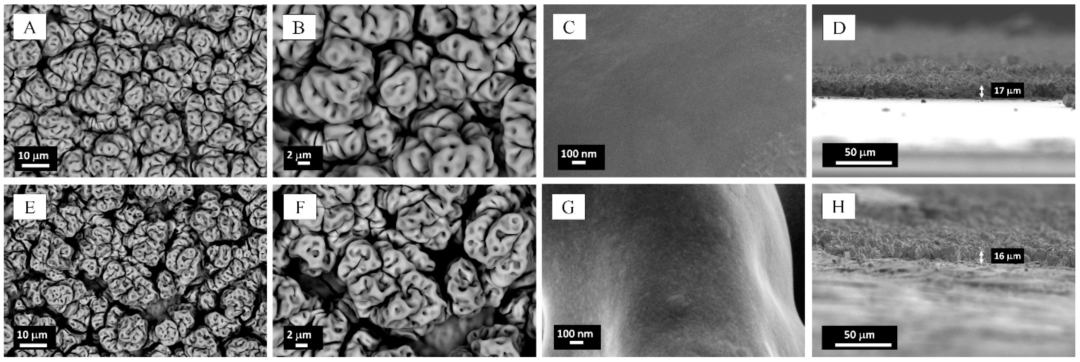 Catalysts 08 00461 g001 Catalysts 08 00461 g001