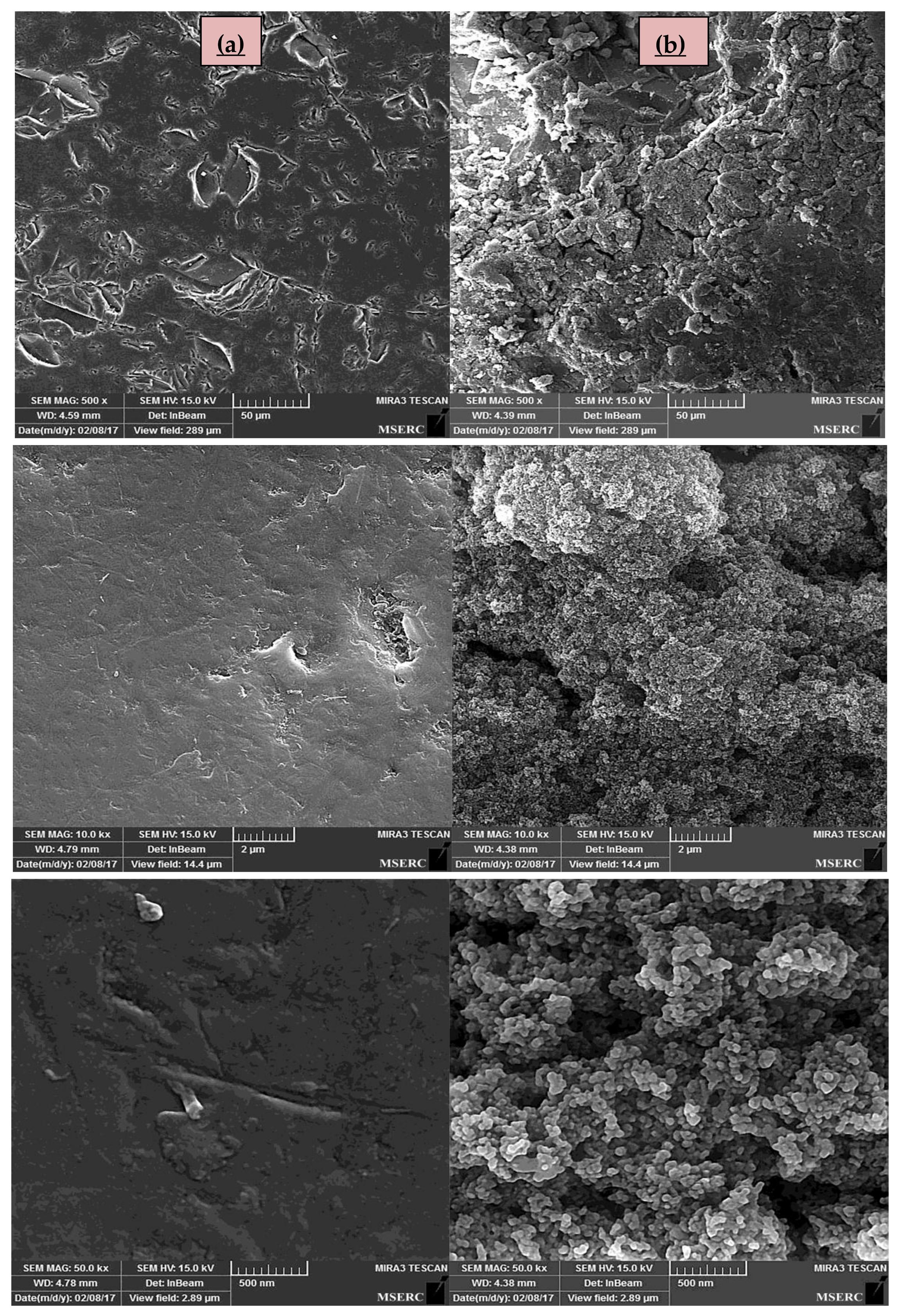 Catalysts 08 00466 g005