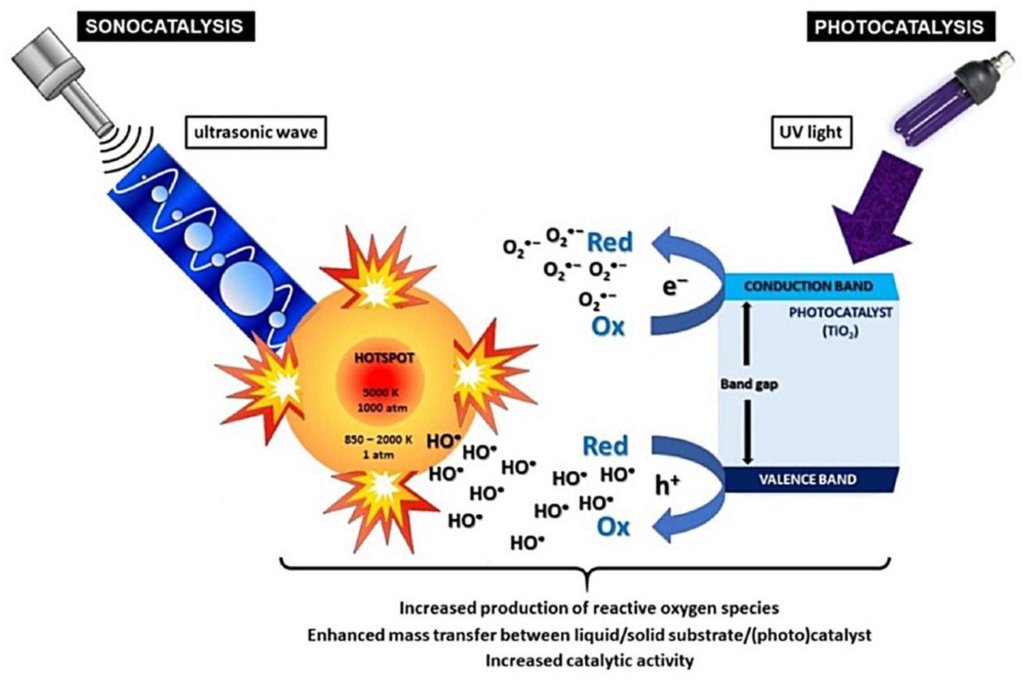 Catalysts 08 00483 g003