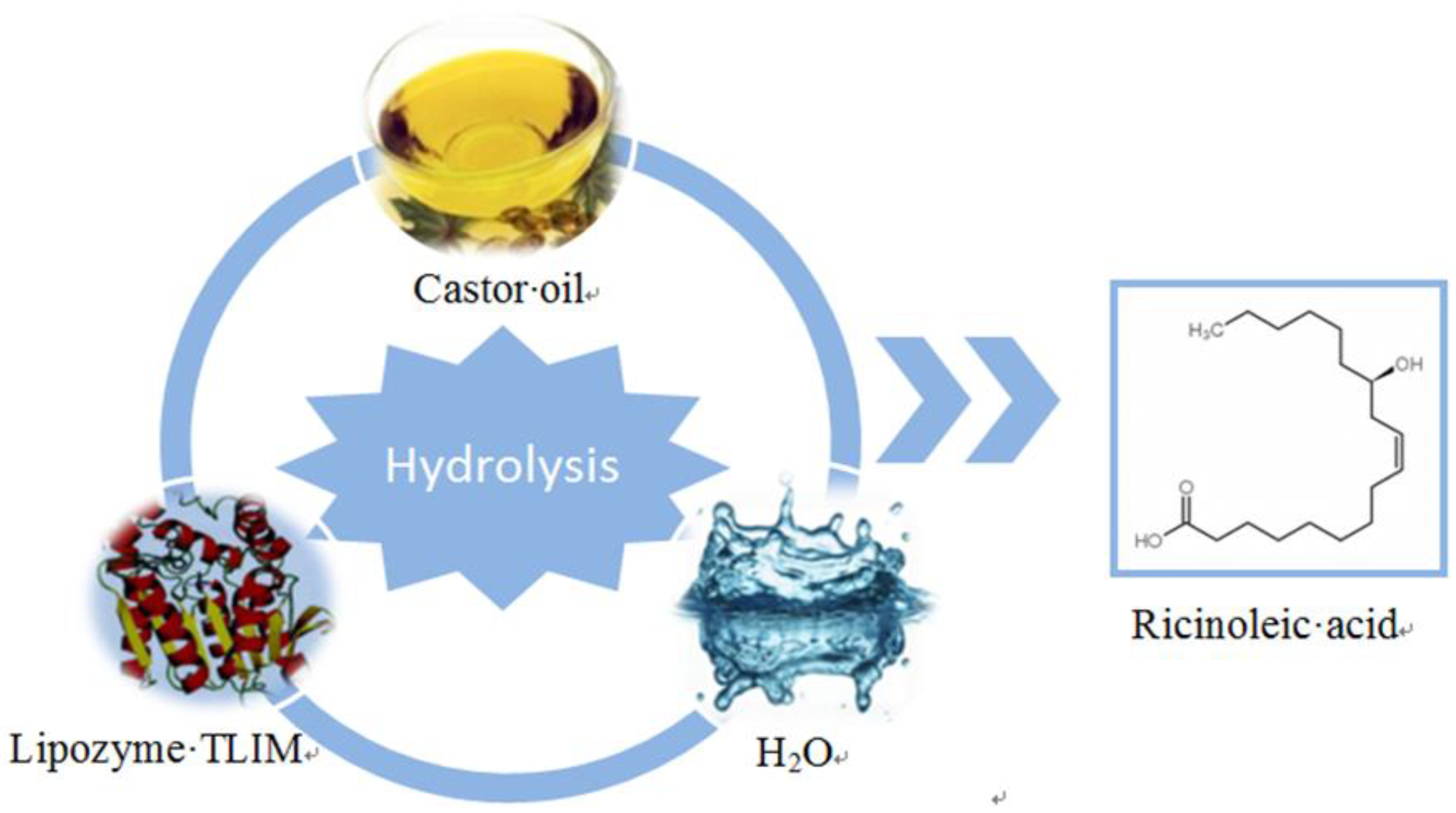 Catalysts 08 00486 g001 Catalysts 08 00486 g001