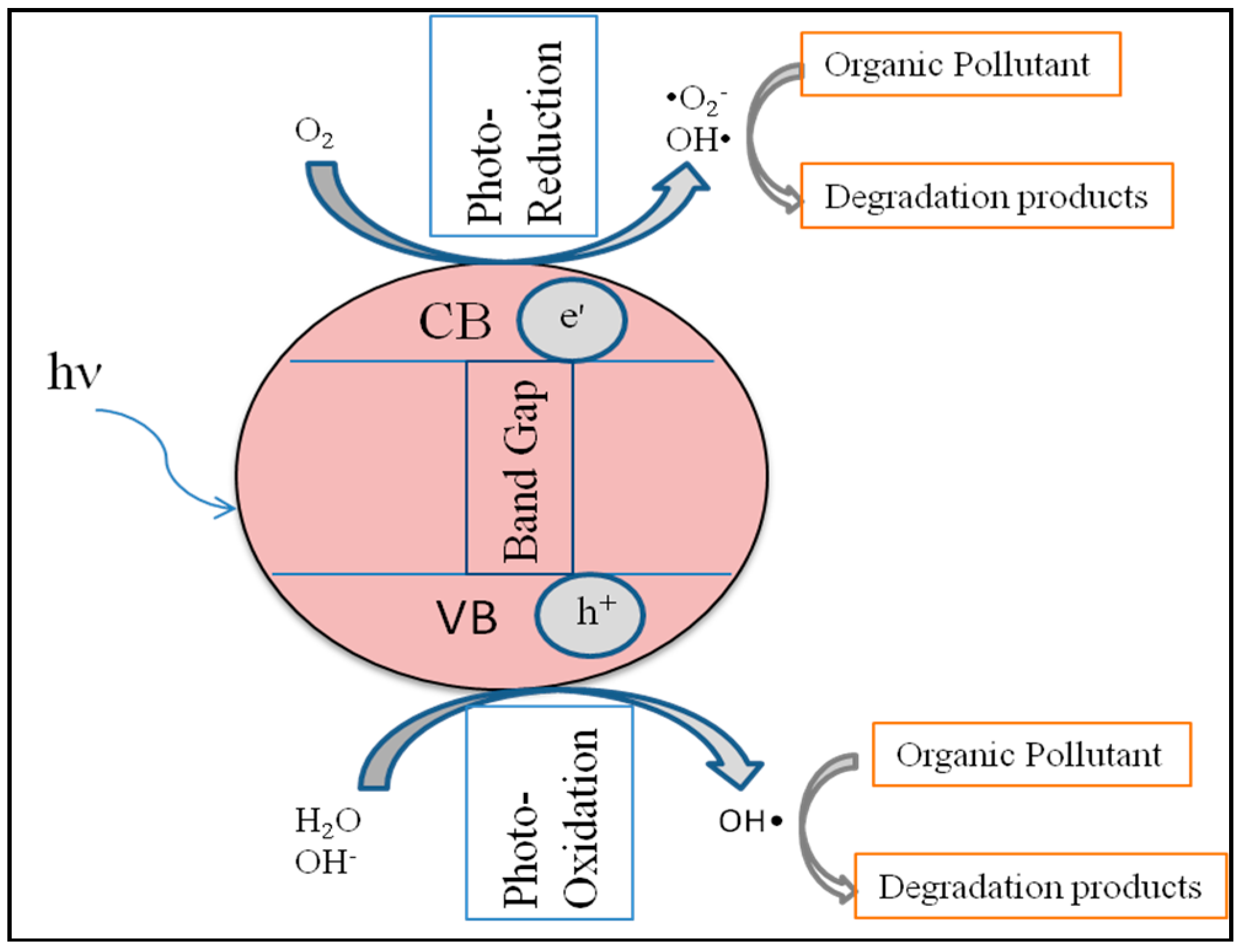 Catalysts 08 00491 g002