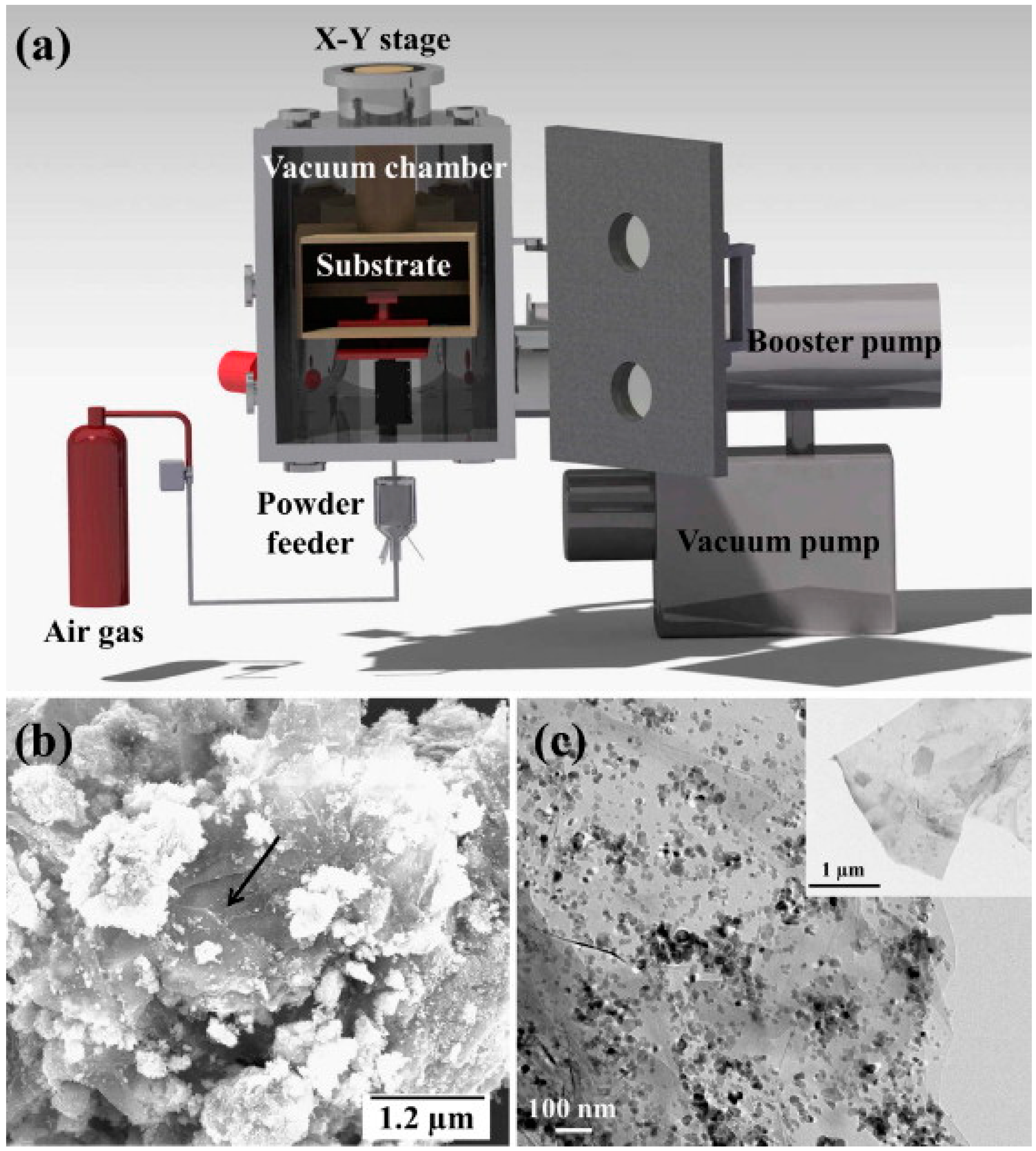 Catalysts 08 00491 g010