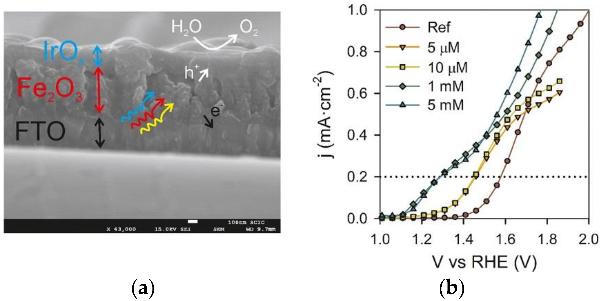 Catalysts 08 00497 g002
