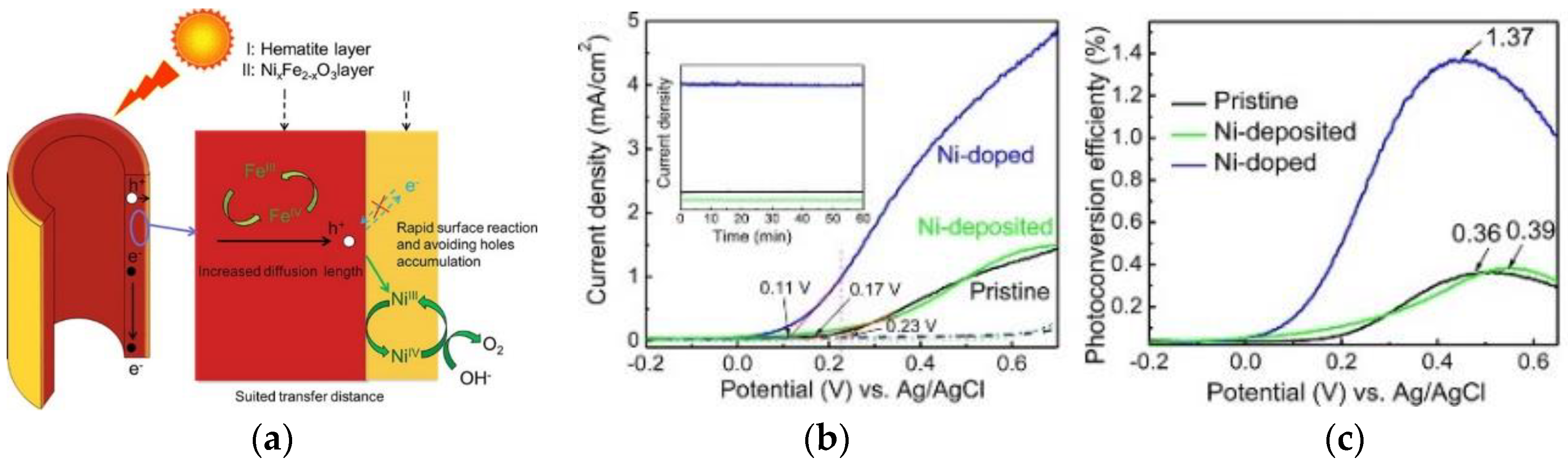Catalysts 08 00497 g007